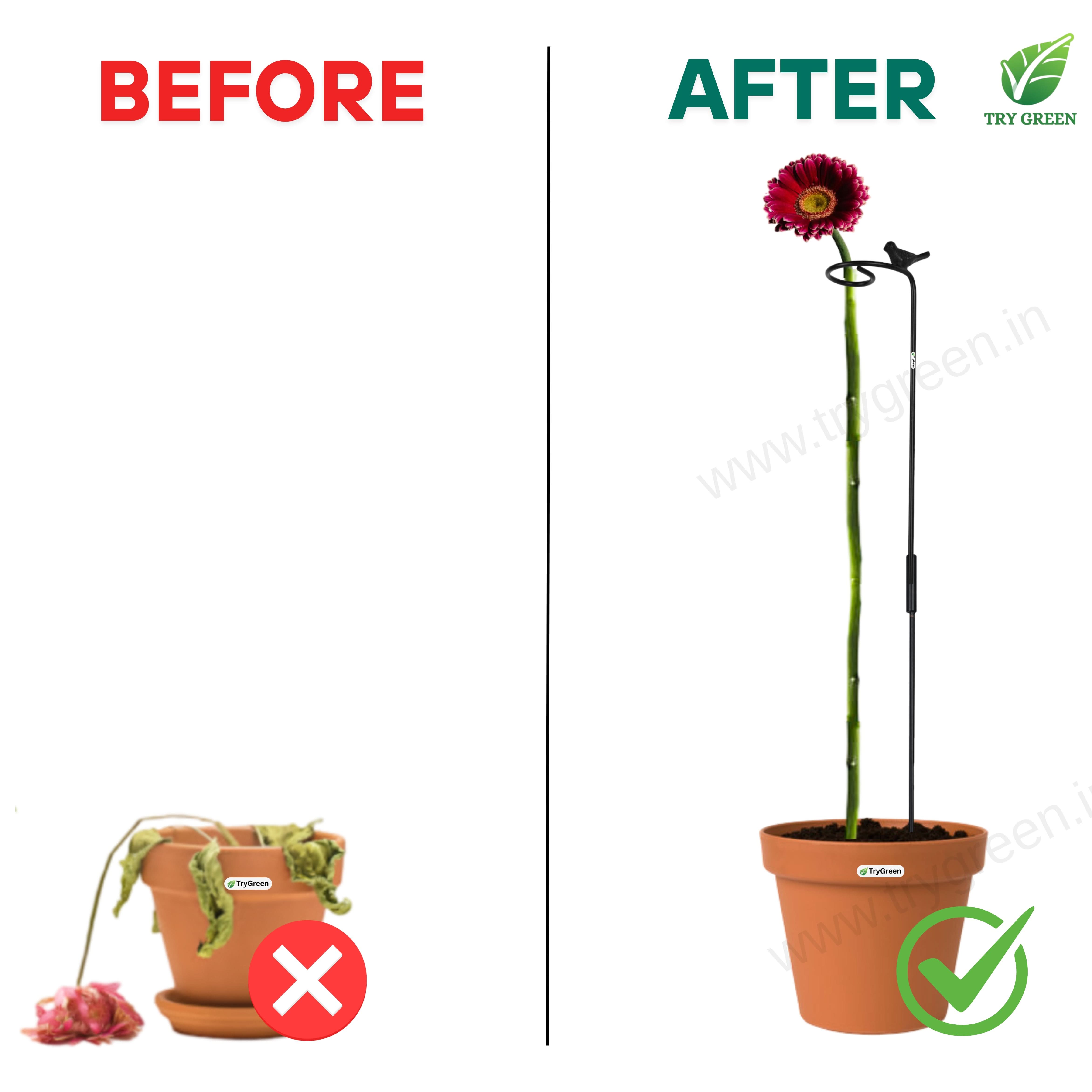 TryGreen- Double Strong Support Stakes for Garden