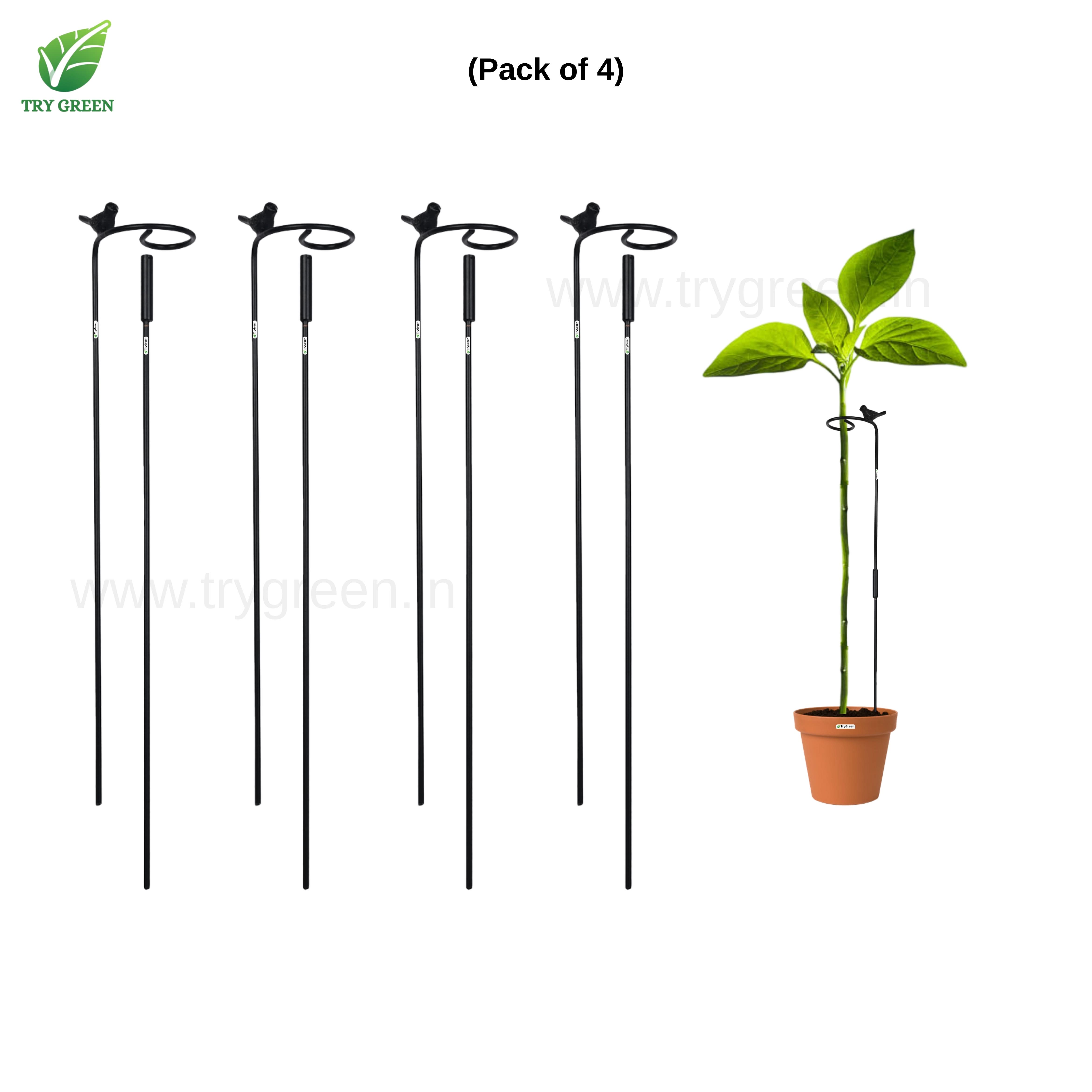 TryGreen- Double Strong Support Stakes for Garden