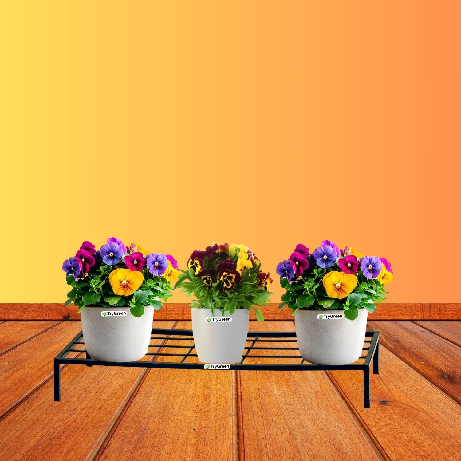 TryGreen Elara Metal Pot Stands for Planters
