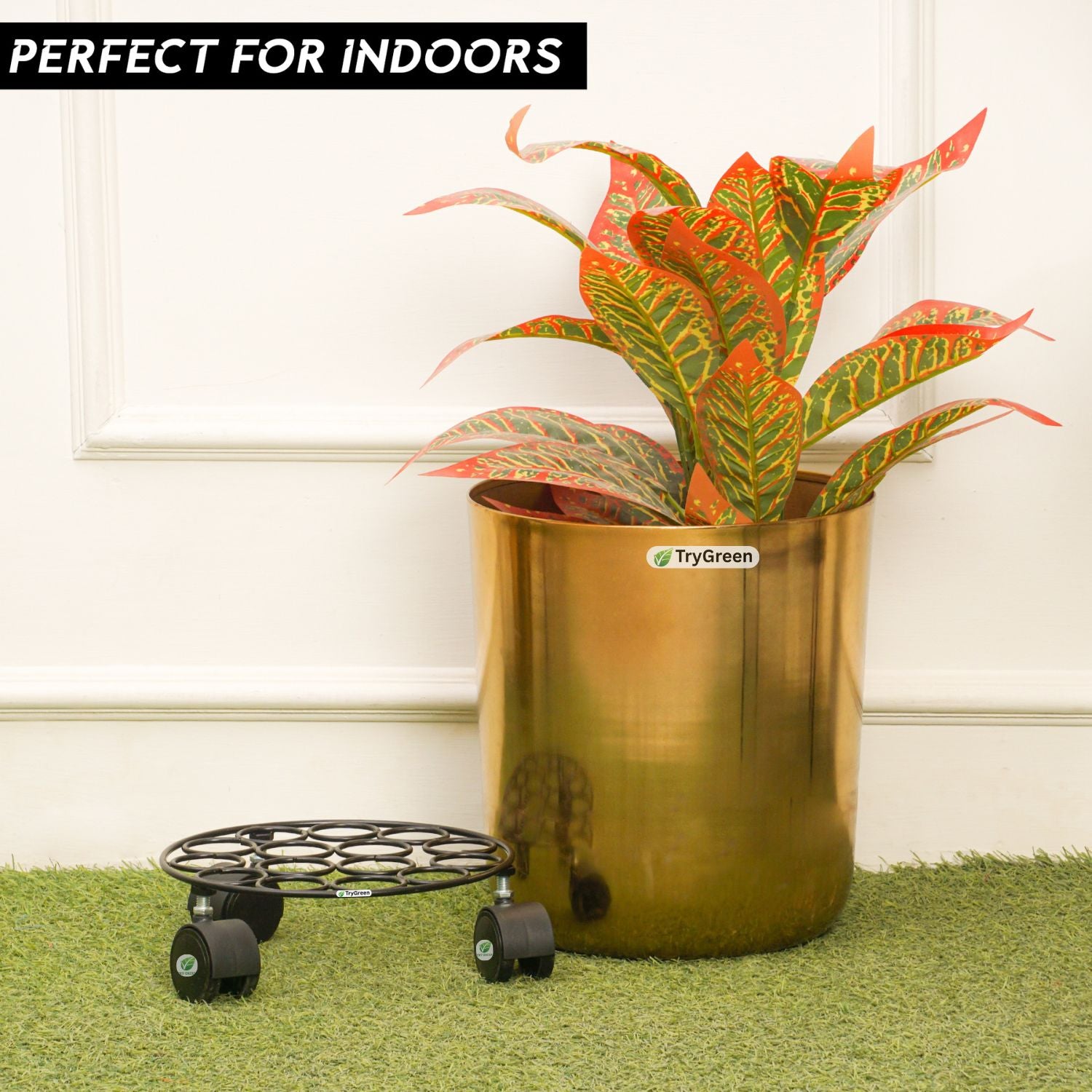 TryGreen Rings Wheel Rolling Plant Stand for Planters