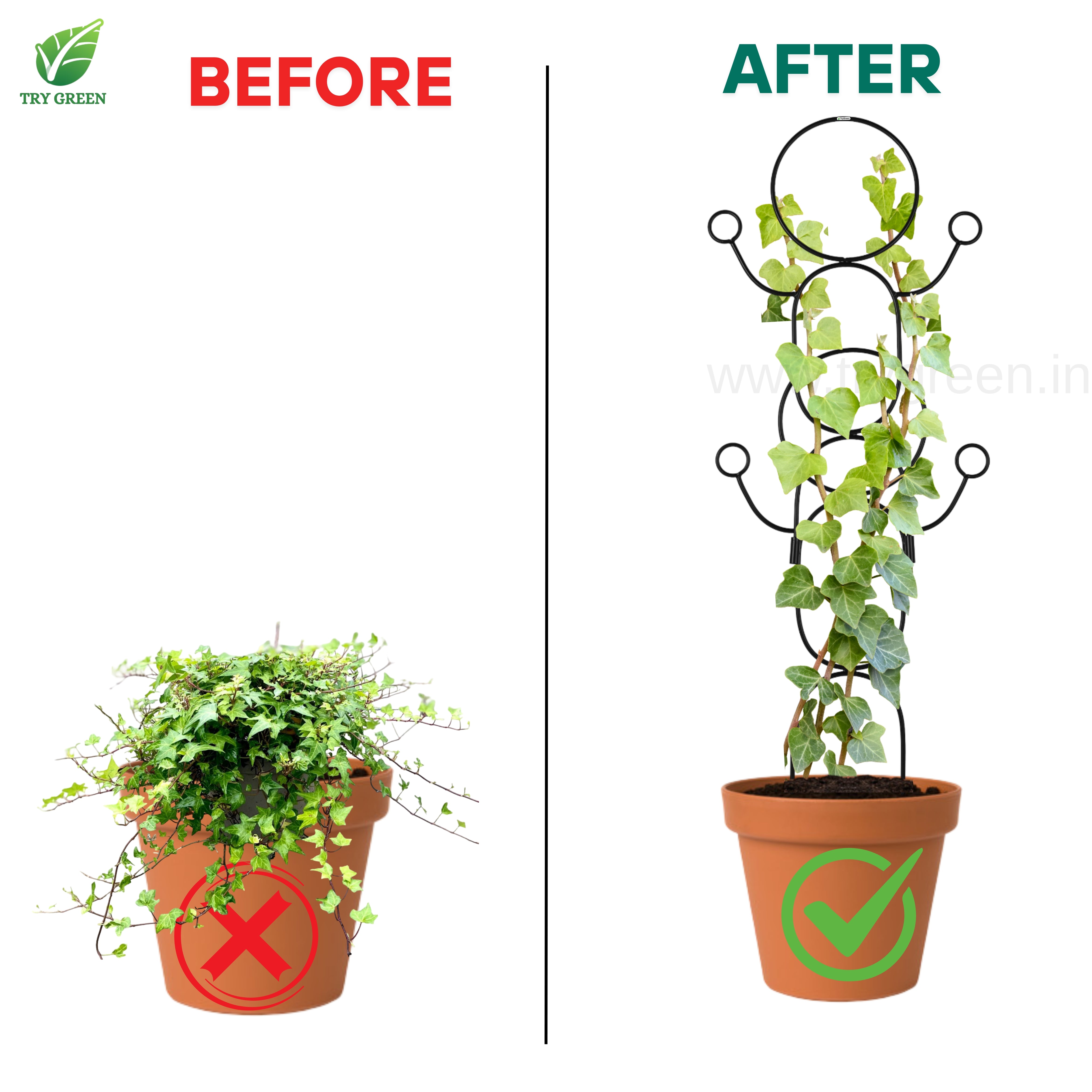 TryGreen-Double Dance-Strong Support Stakes for Garden