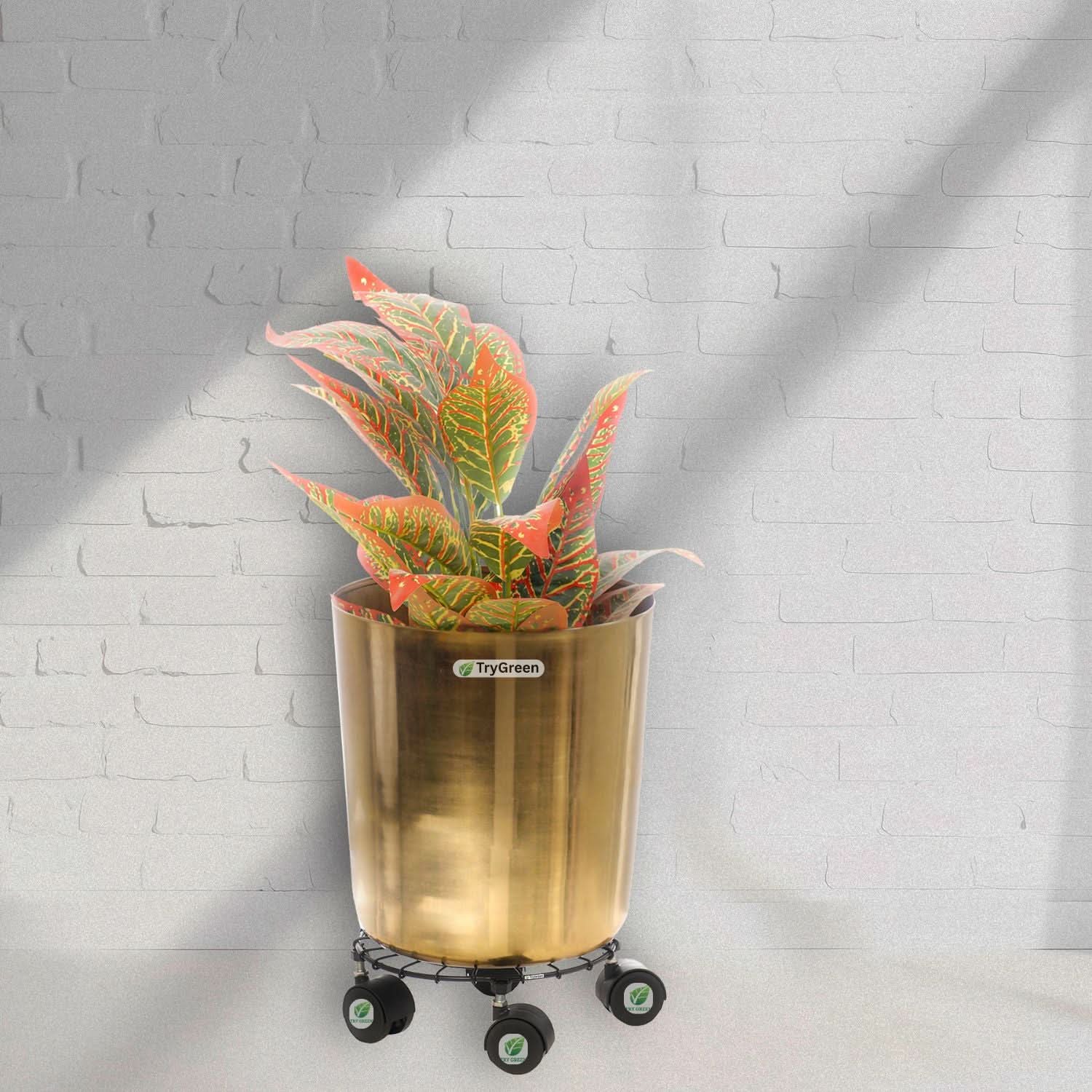TryGreen Craby Wheel Rolling Plant Stand for Planters
