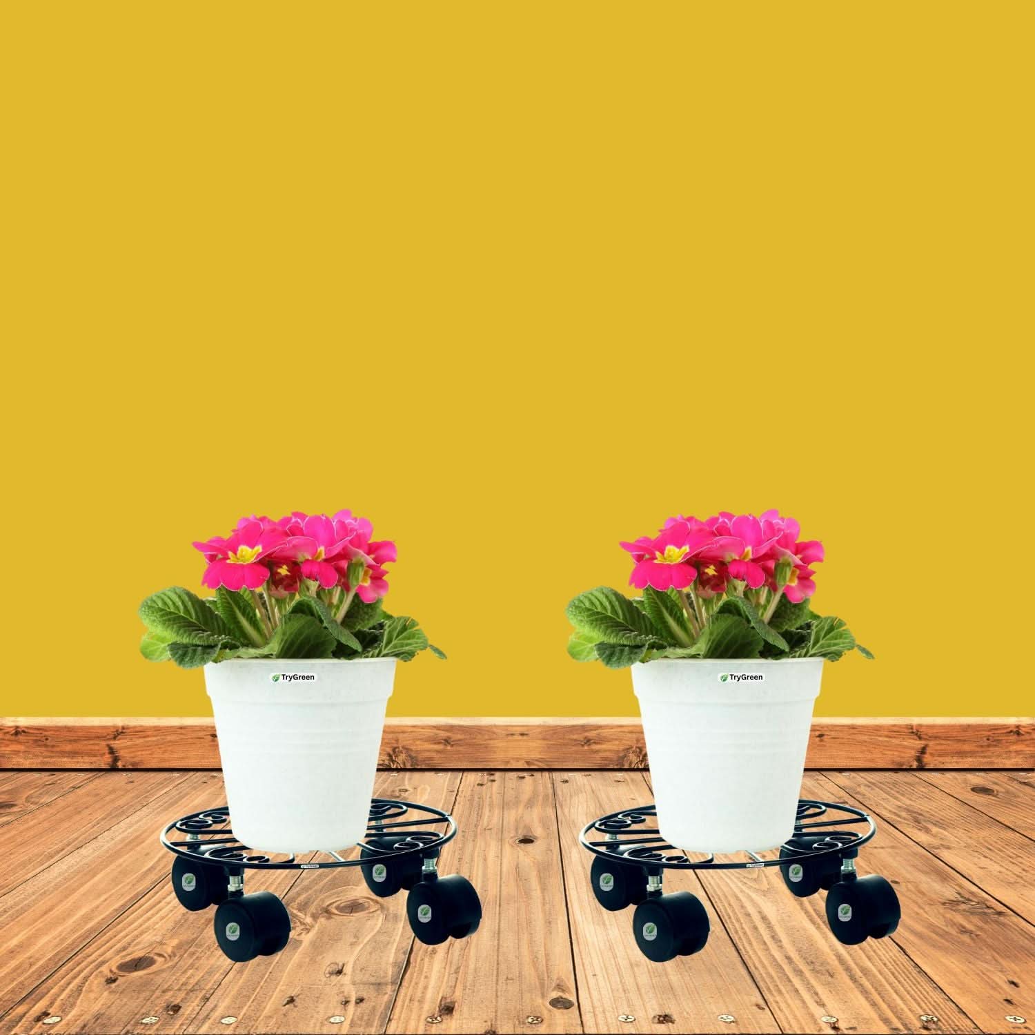 TryGreen Fyra Wheel Rolling Plant Stand for Planters