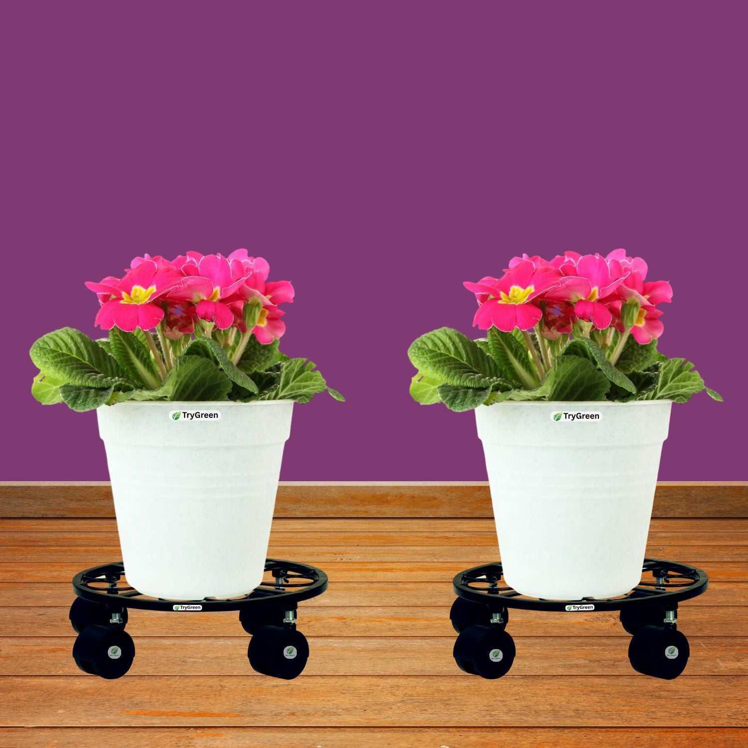 TryGreen Luna Wheel Rolling Plant Stand for Planters