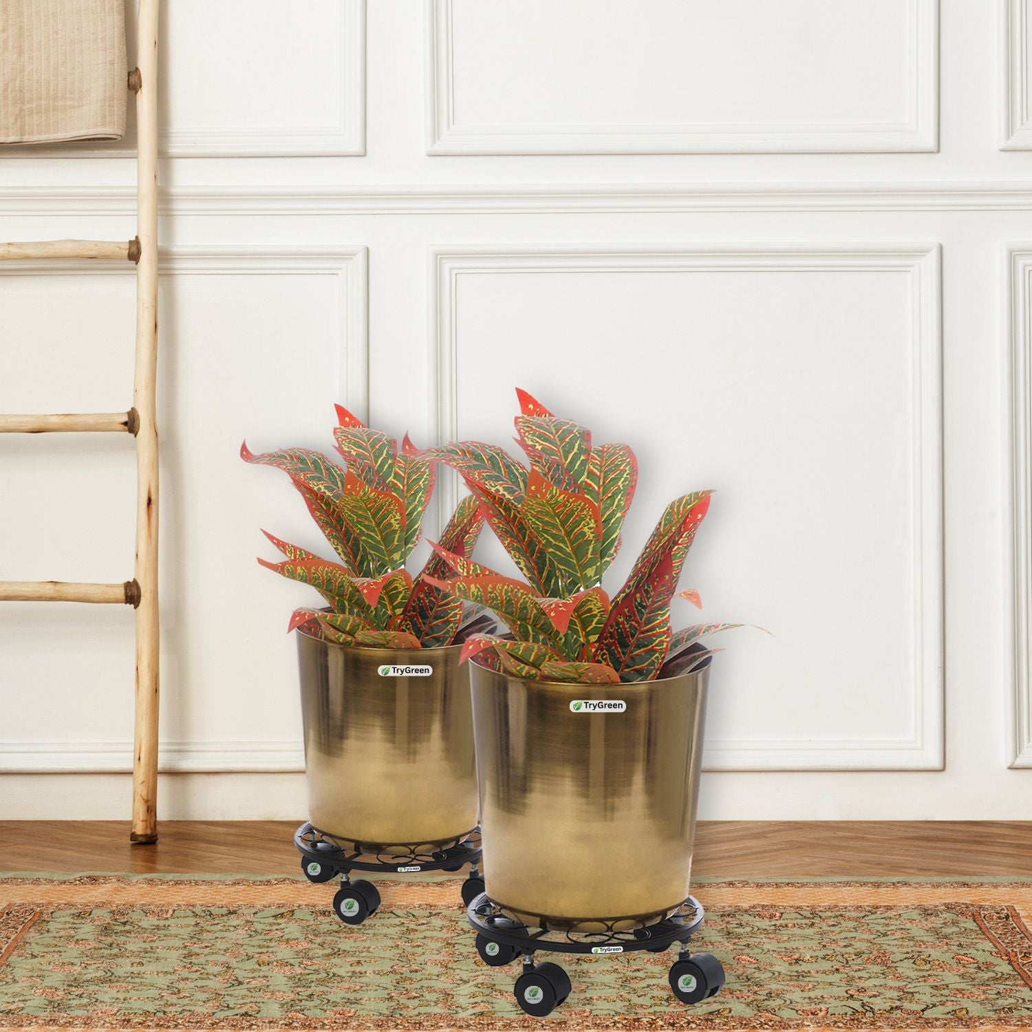 TryGreen Luna Wheel Rolling Plant Stand for Planters