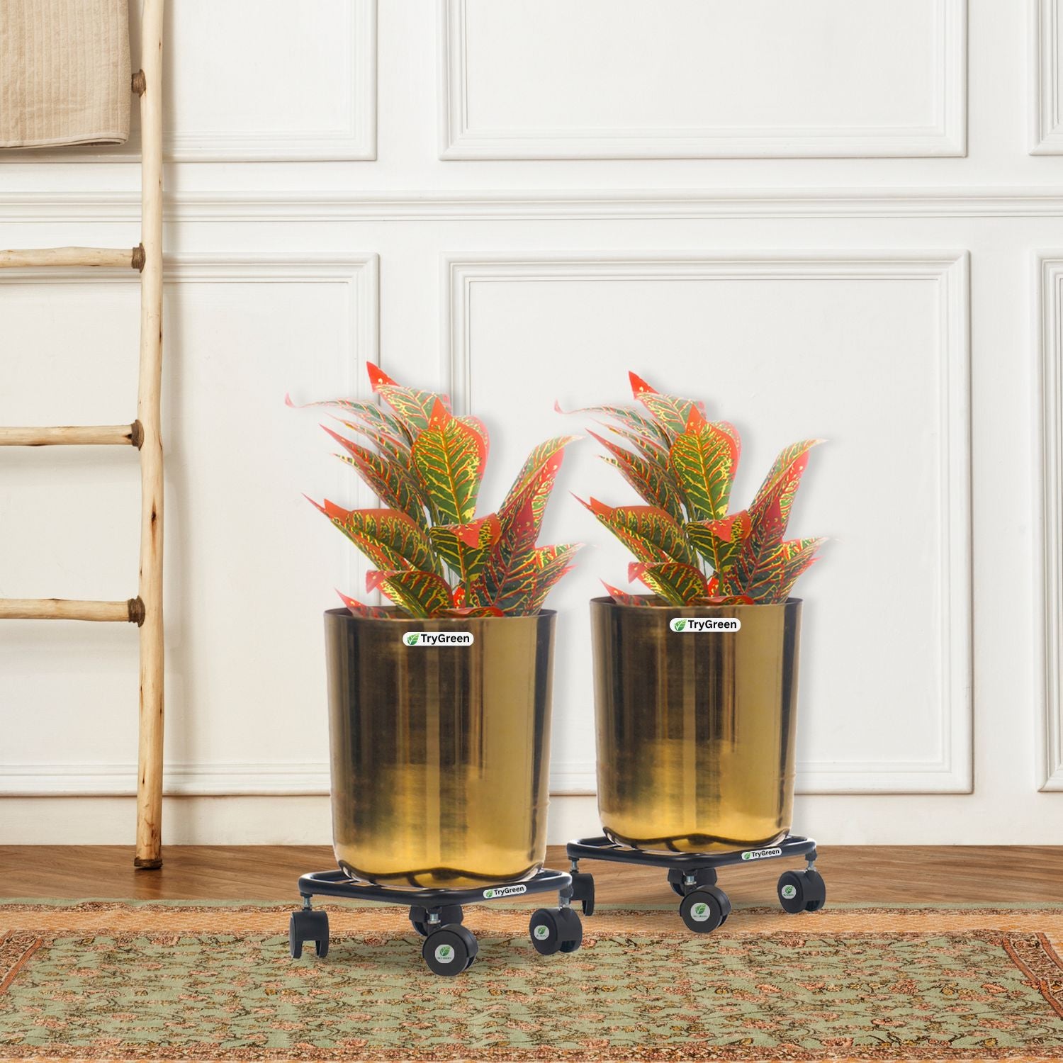 TryGreen Daze Wheel Rolling Plant Stand for Planters