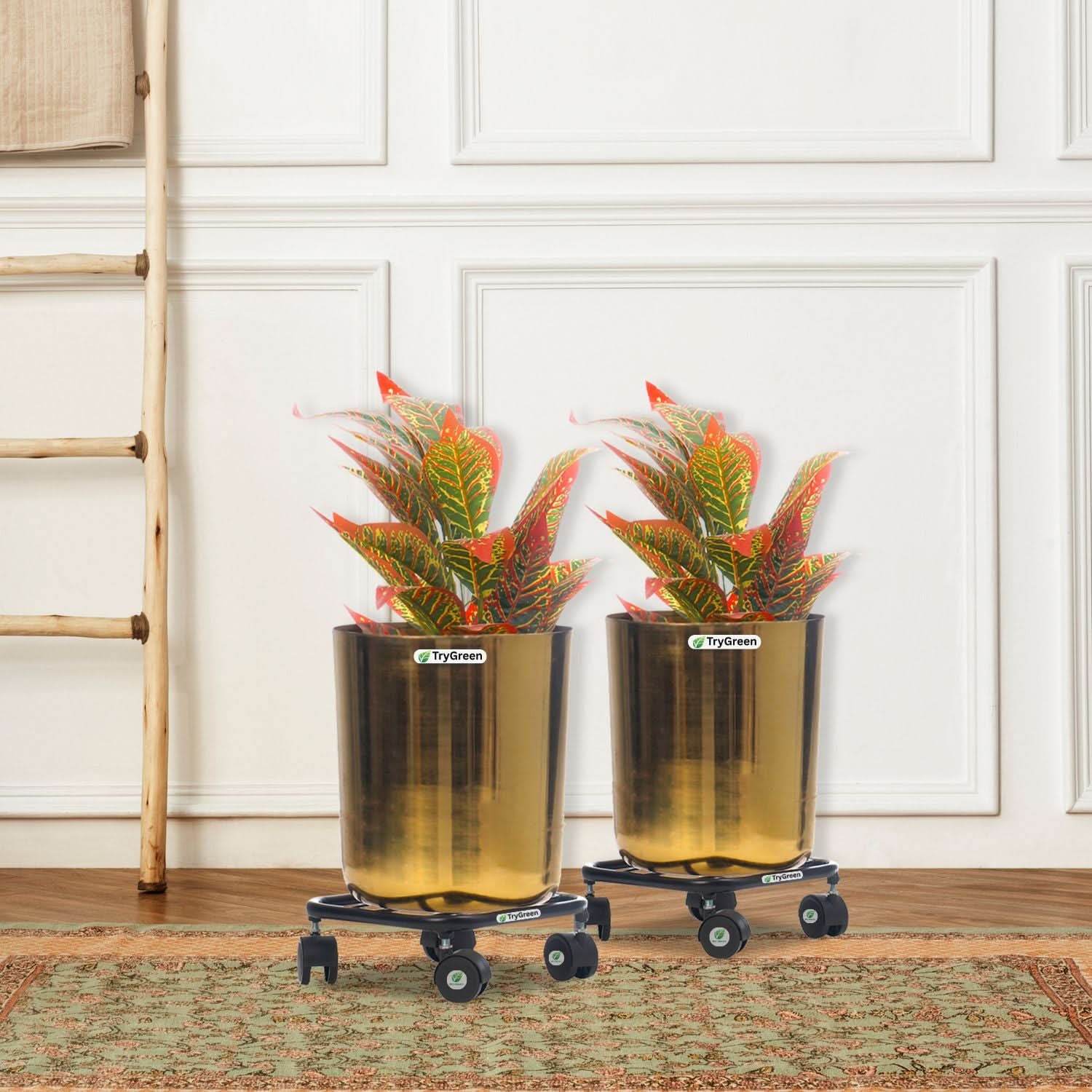 TryGreen Daze Wheel Rolling Plant Stand for Planters