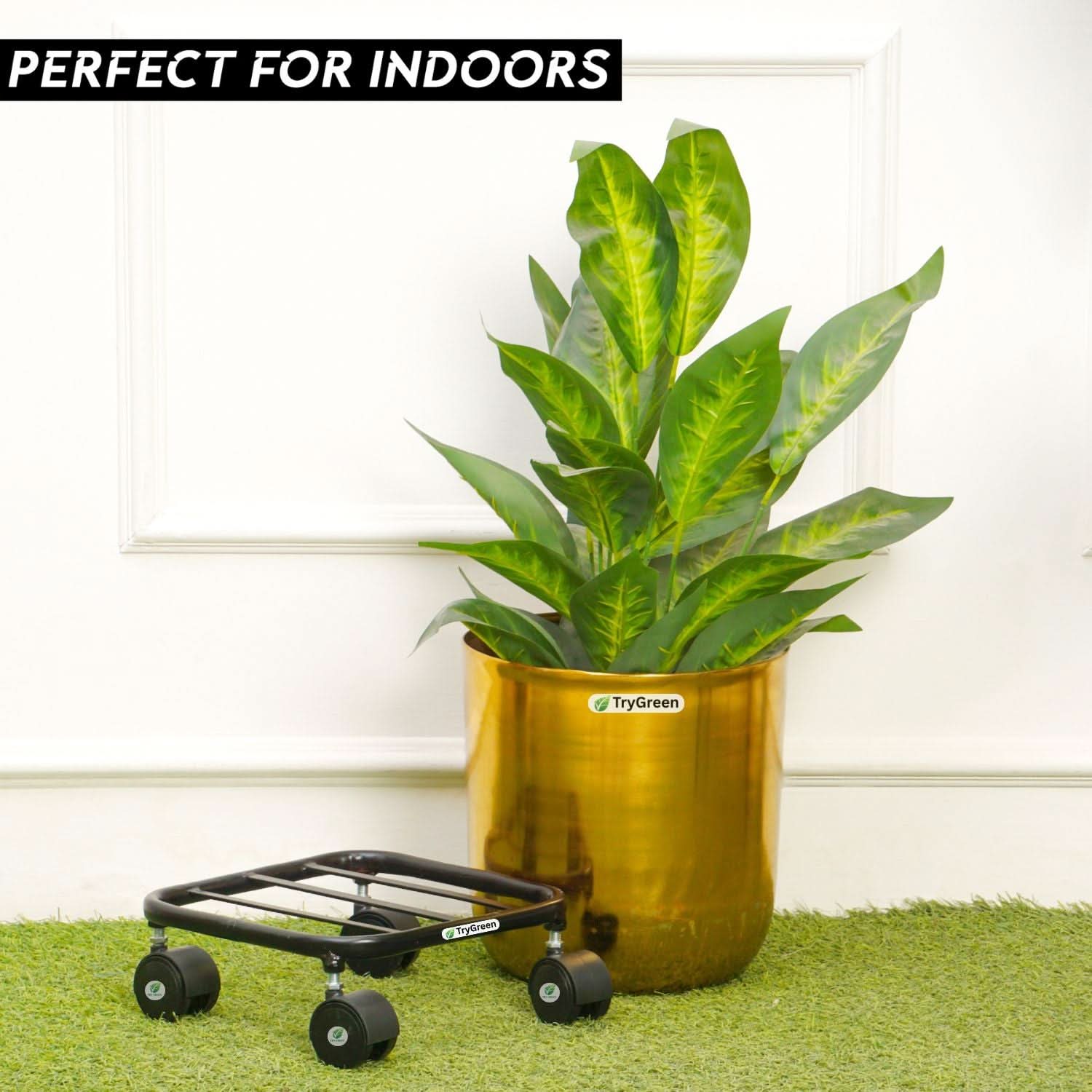 TryGreen Daze Wheel Rolling Plant Stand for Planters