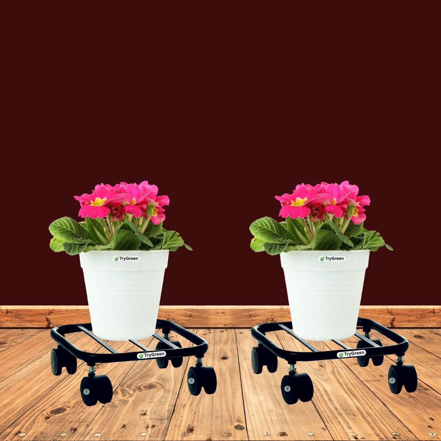 TryGreen Daze Wheel Rolling Plant Stand for Planters