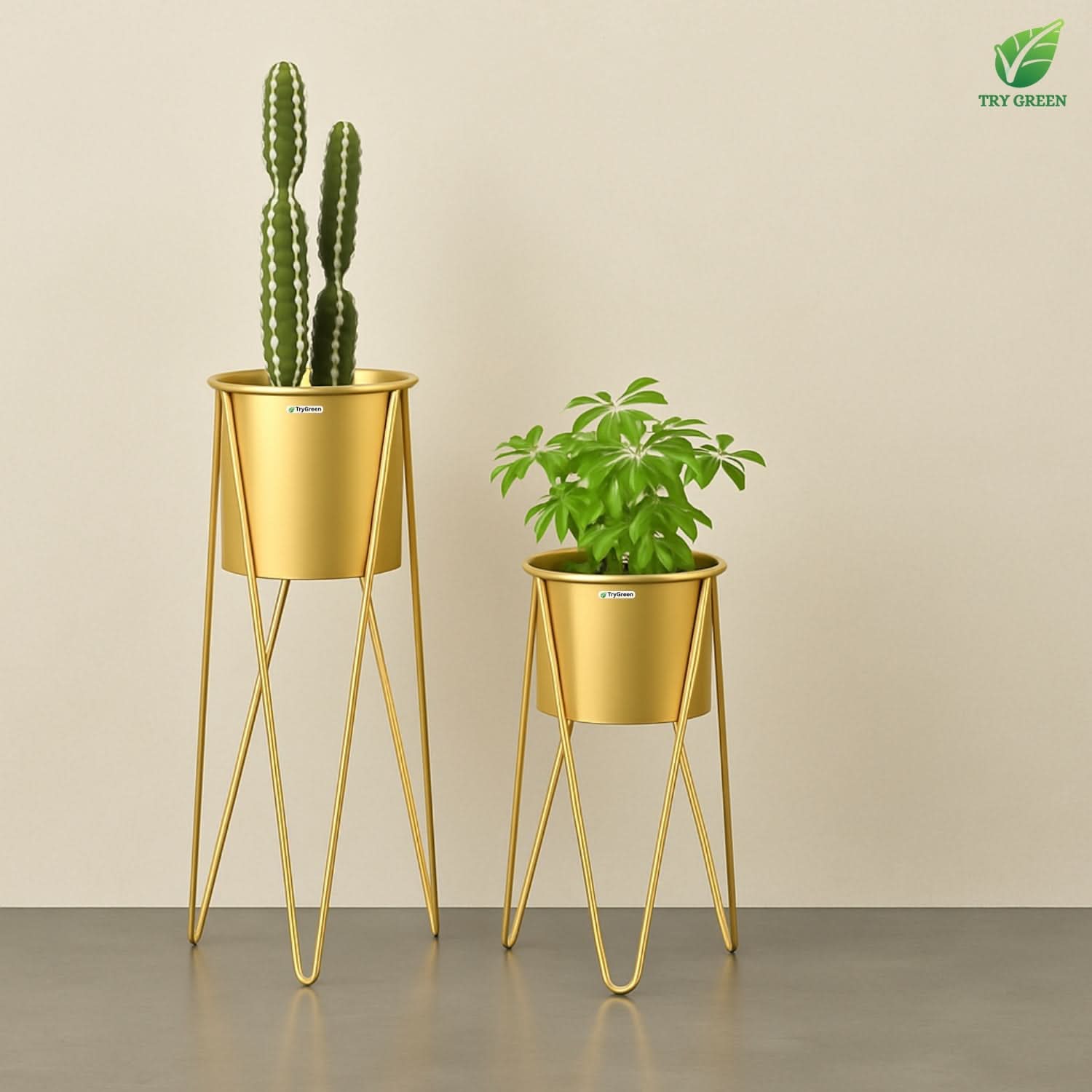 TryGreen- Strin Stylish Pots with Stands for Elegant Spaces(Gold)