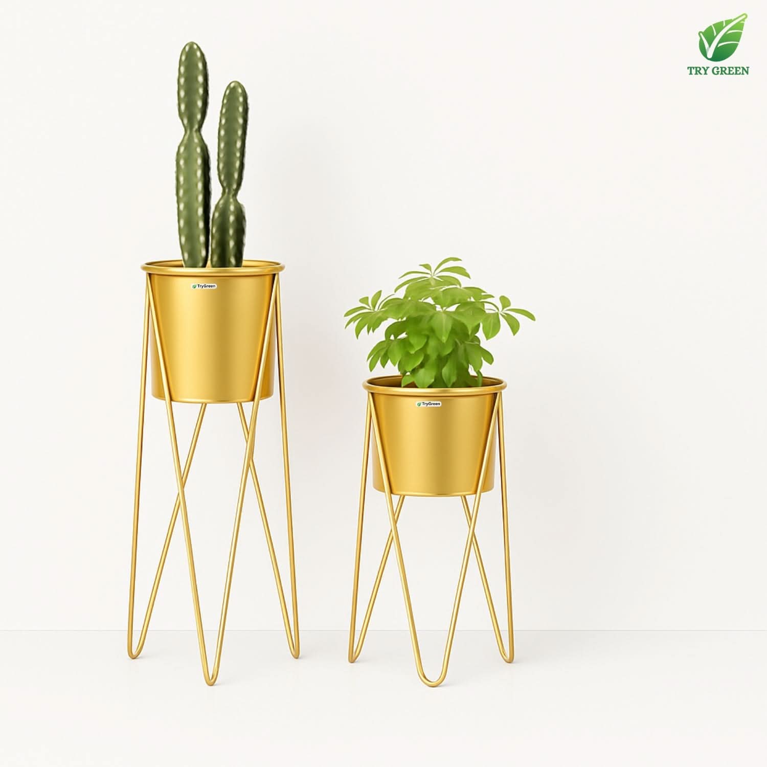 TryGreen- Strin Stylish Pots with Stands for Elegant Spaces(Gold)