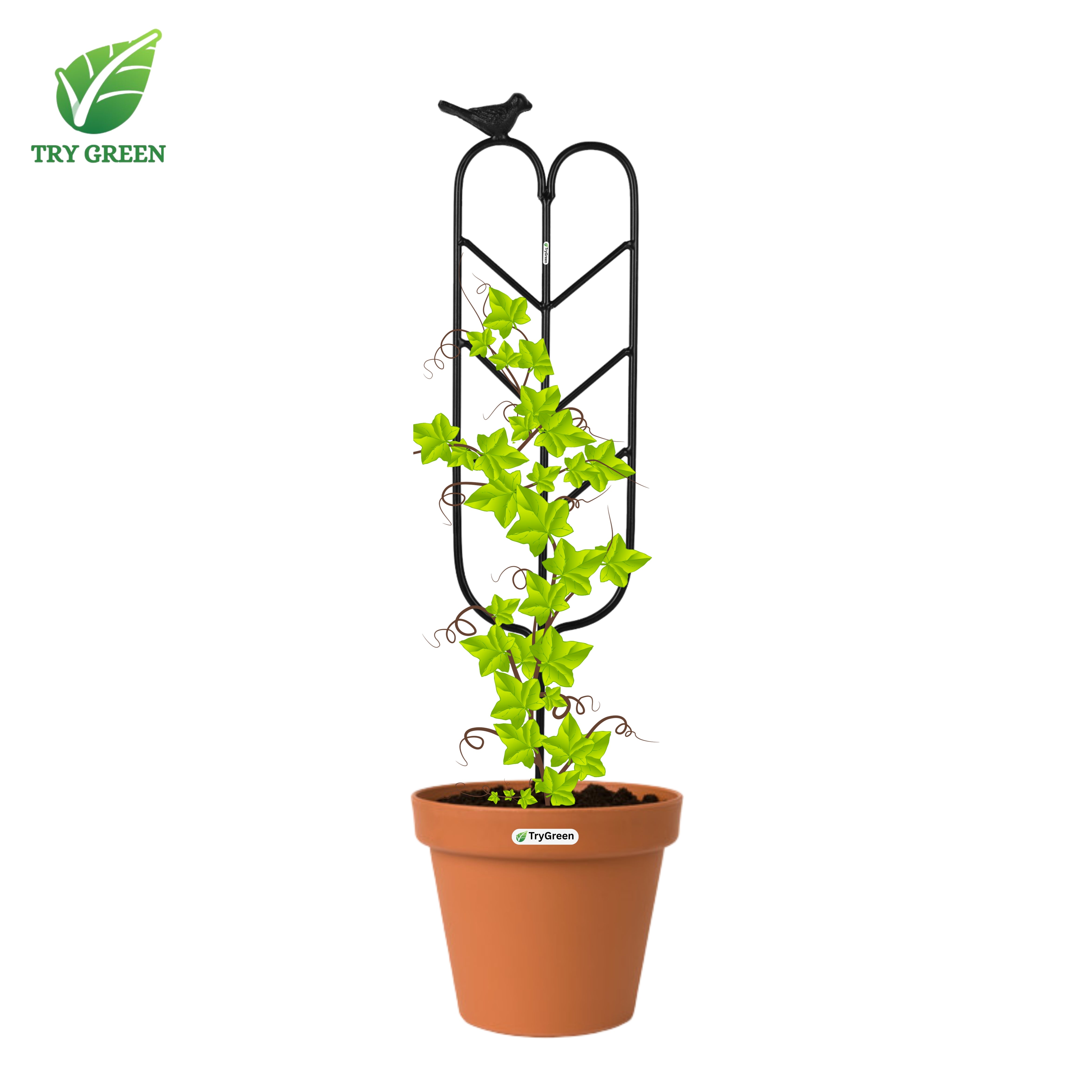 TryGreen- Arrow Shape Strong Support Stakes for Garden
