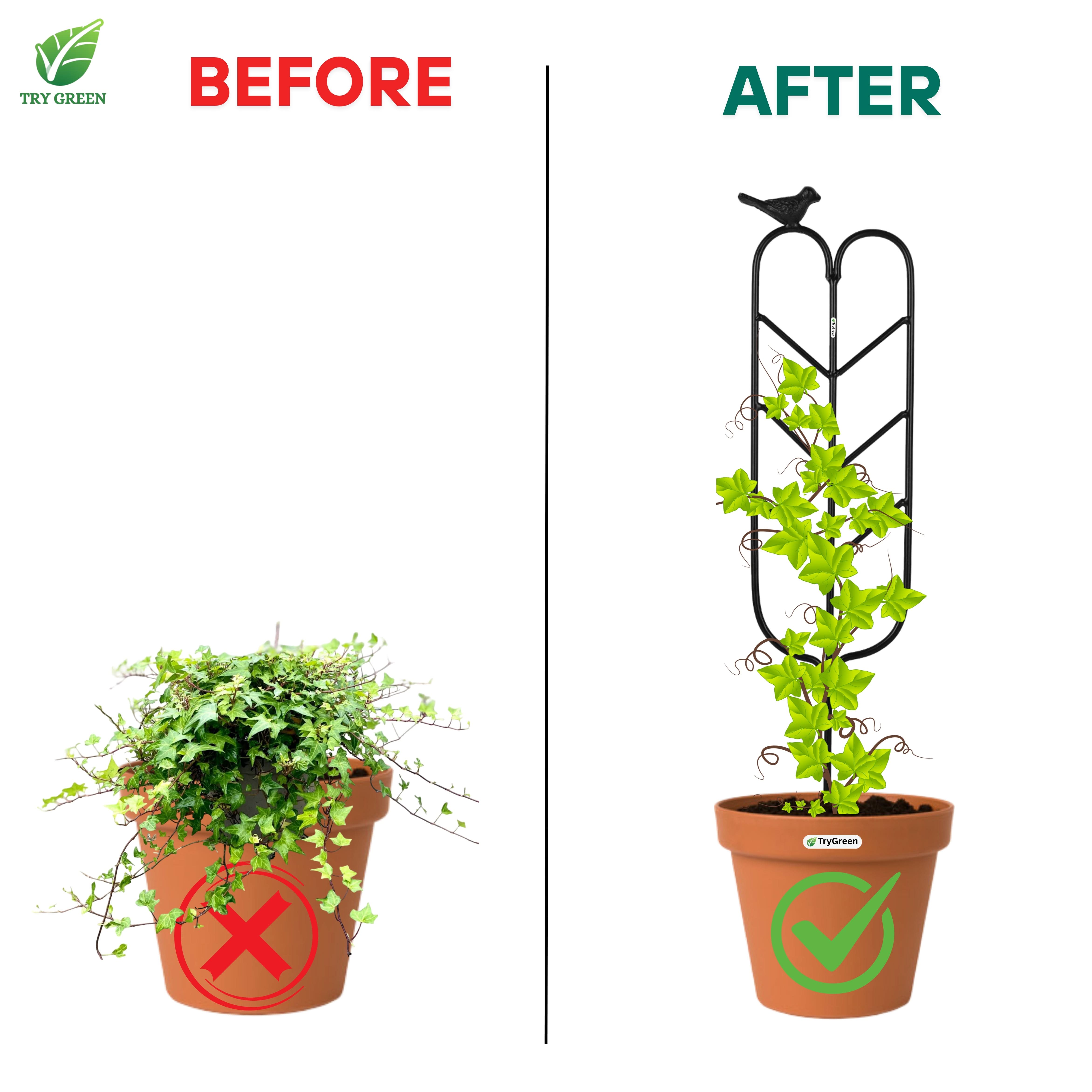 TryGreen- Arrow Shape Strong Support Stakes for Garden