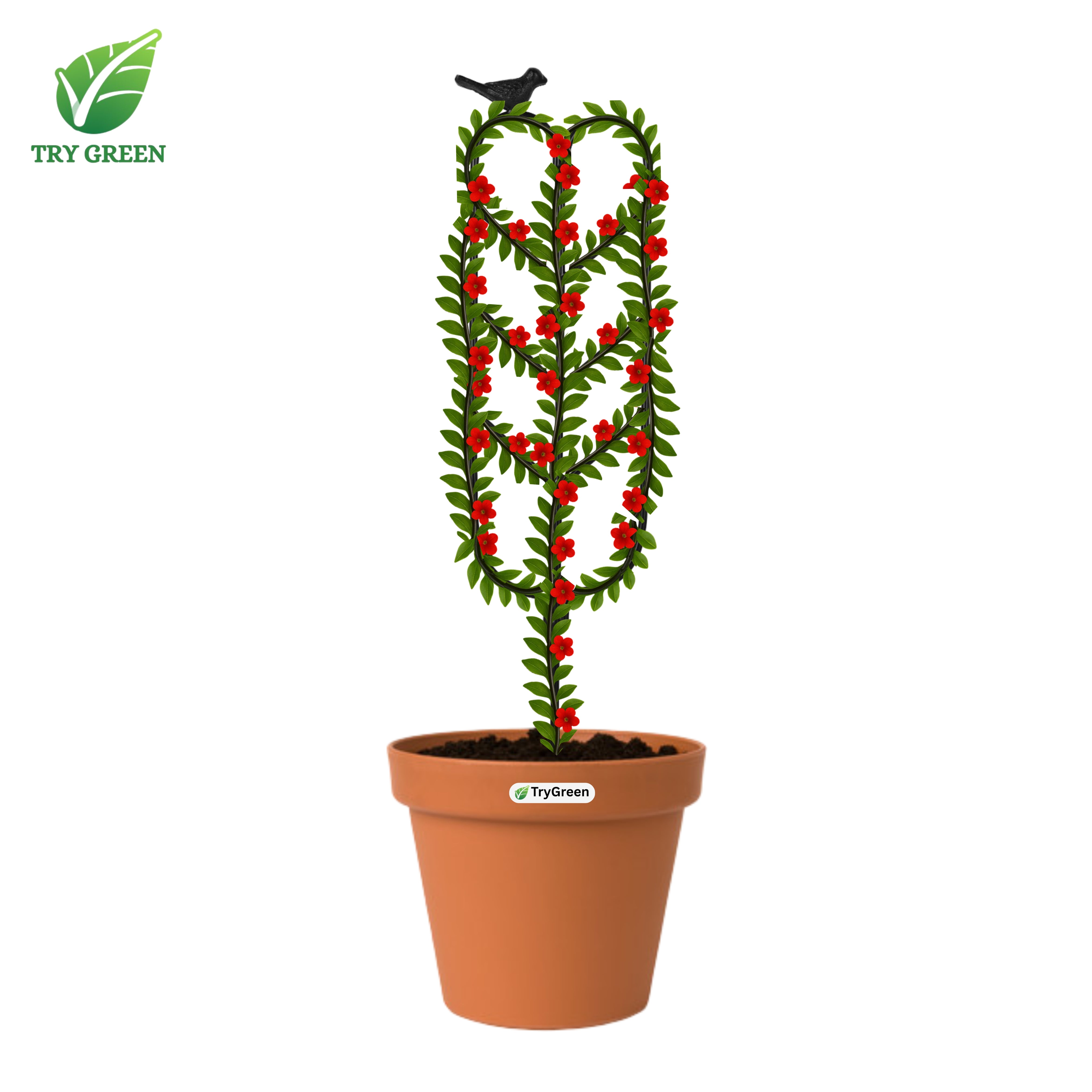 TryGreen- Arrow Shape Strong Support Stakes for Garden