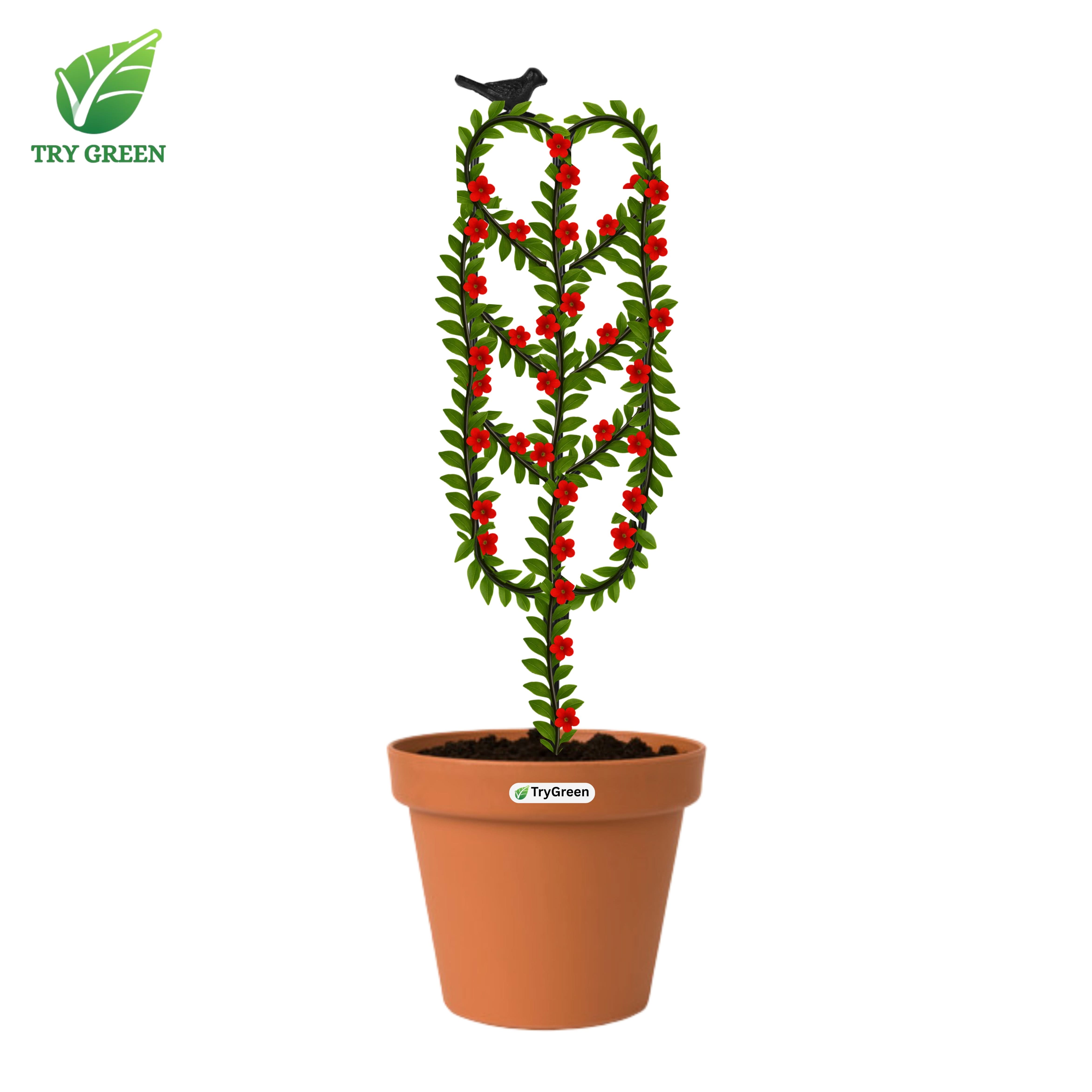 TryGreen- Arrow Shape Strong Support Stakes for Garden