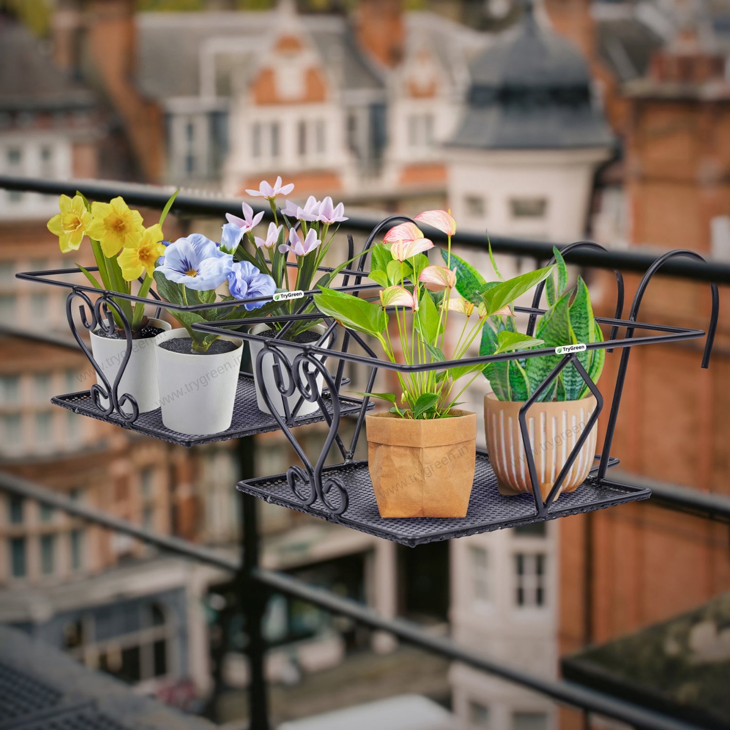 TryGreen – Ragro Metal Railing Stand for Balcony & Railing Decor