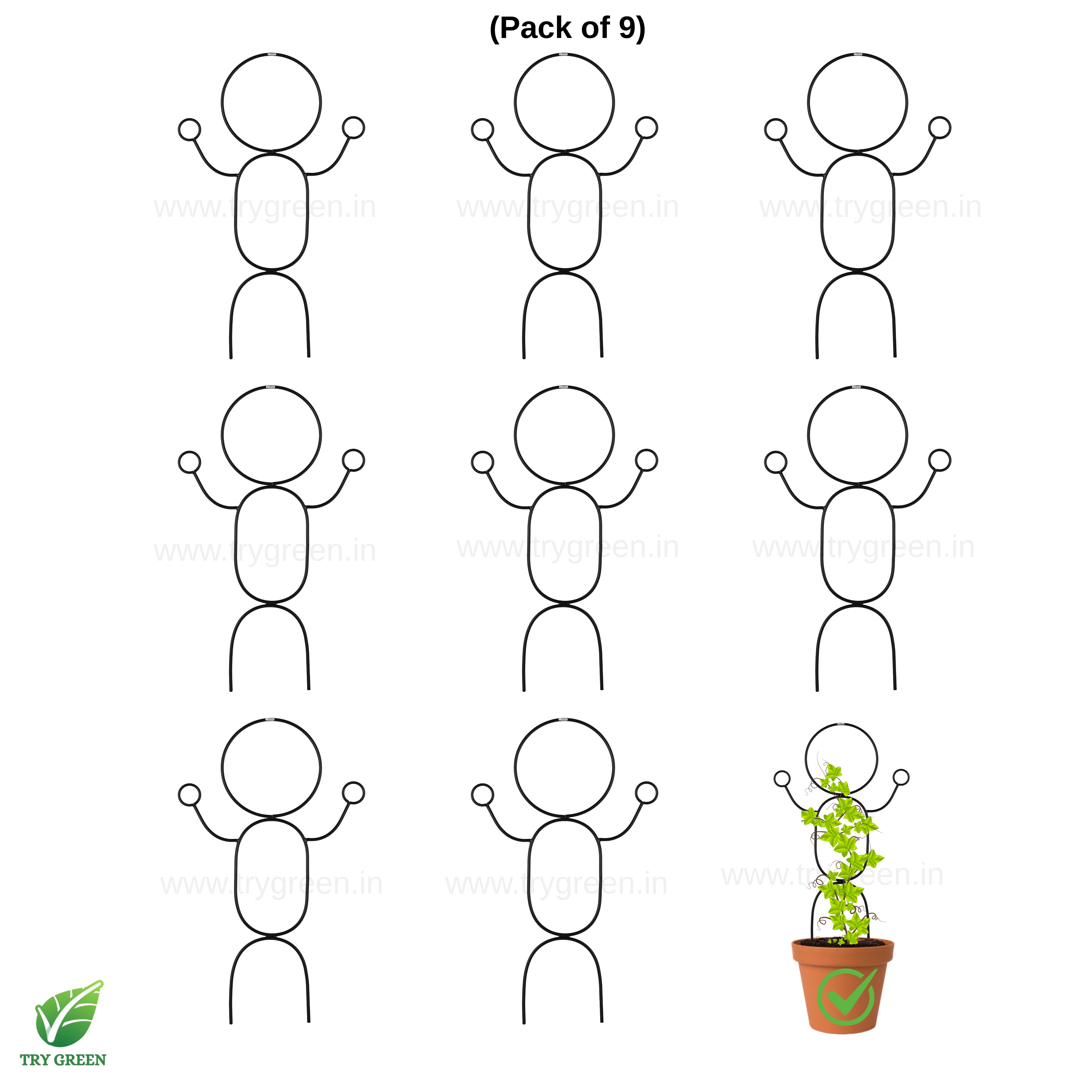 TryGreen- Dance-Strong Support Stakes for Garden