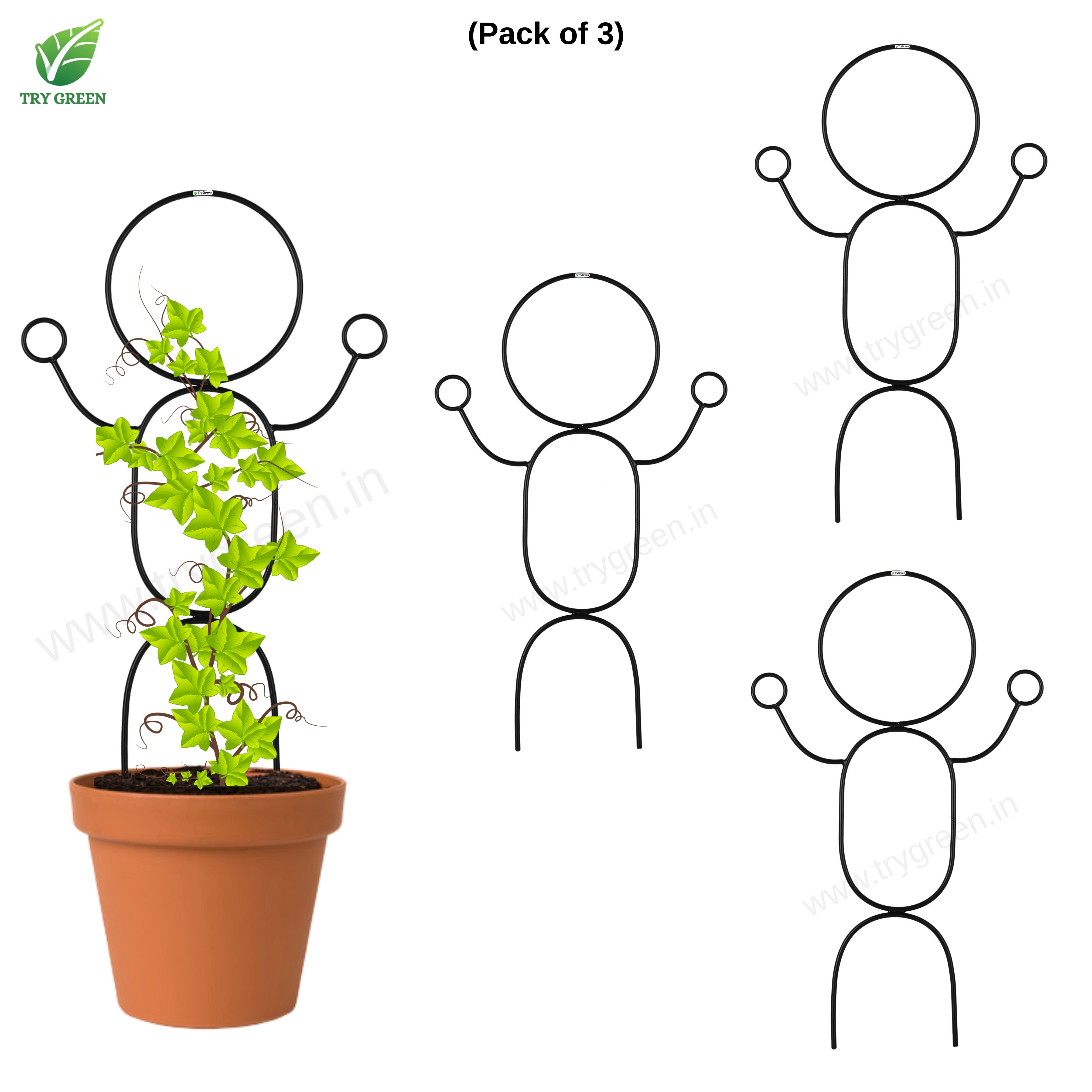 TryGreen- Dance-Strong Support Stakes for Garden