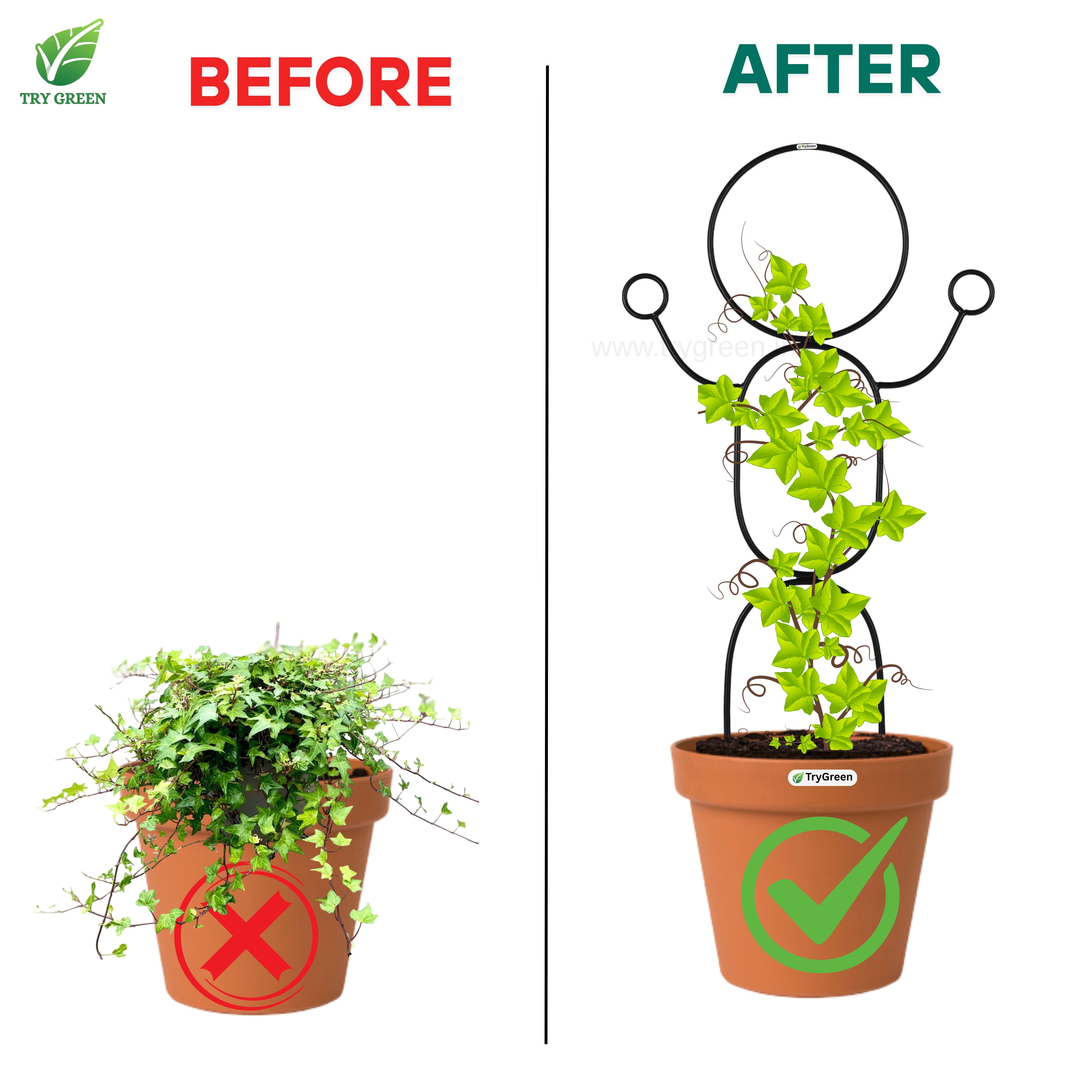 TryGreen- Dance-Strong Support Stakes for Garden