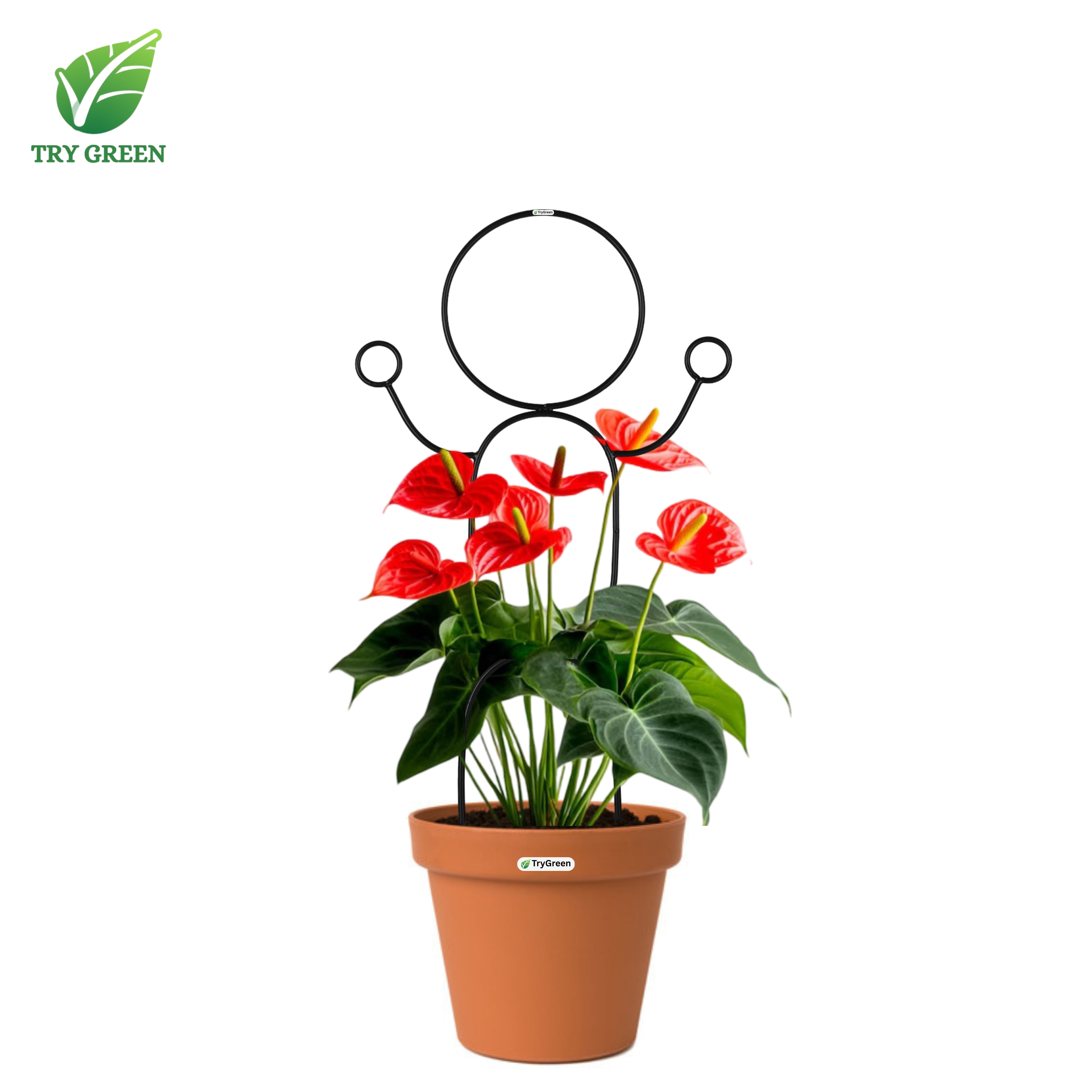 TryGreen- Dance-Strong Support Stakes for Garden