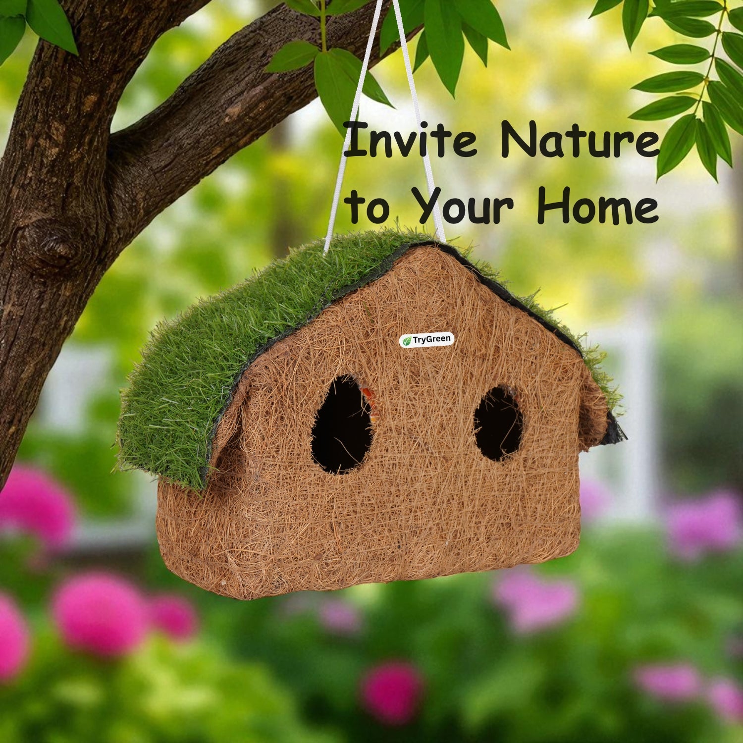 TryGreen- Family Bird House Eco-Friendly