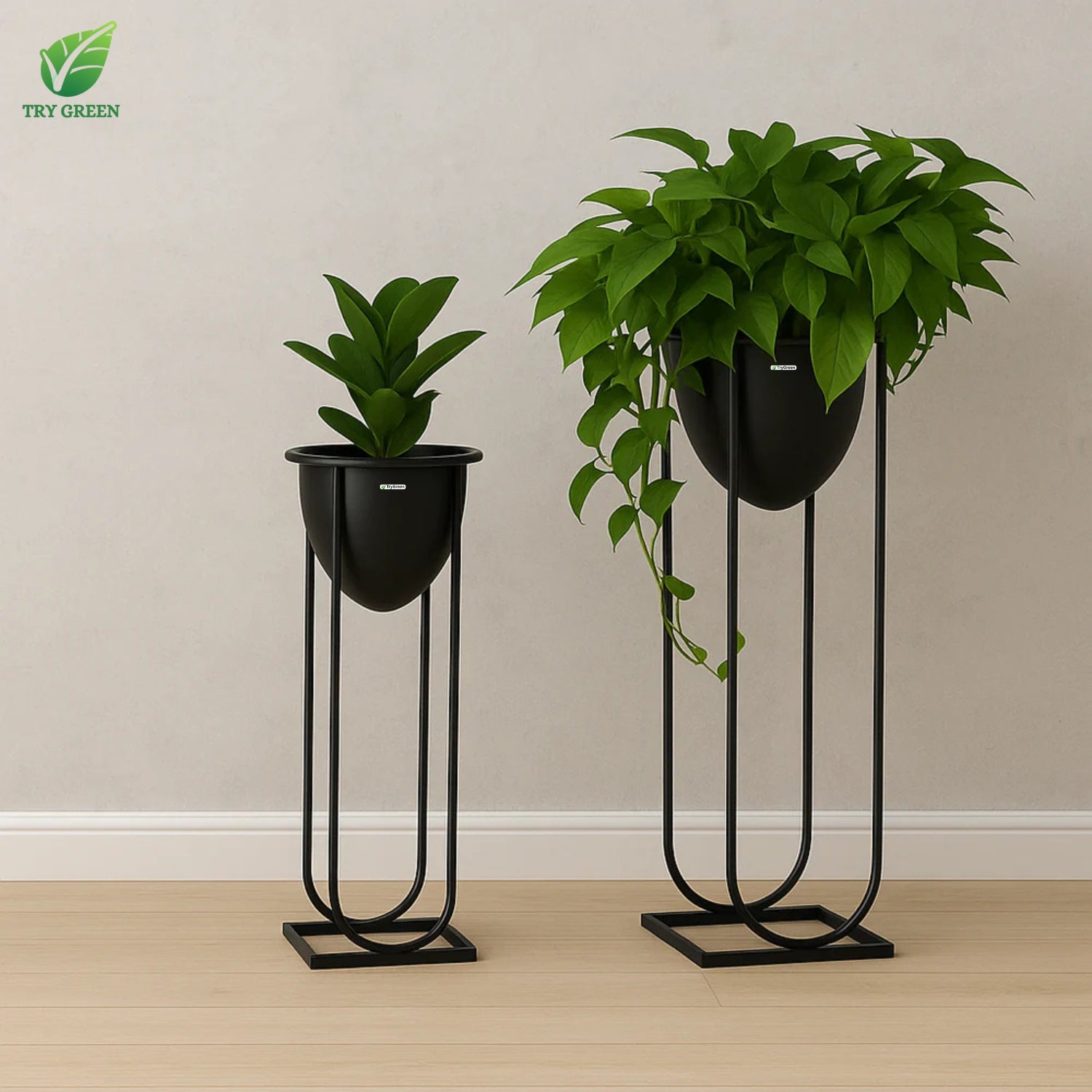 TryGreen- Flora Stylish Pots with Stands for Elegant Spaces(Black)