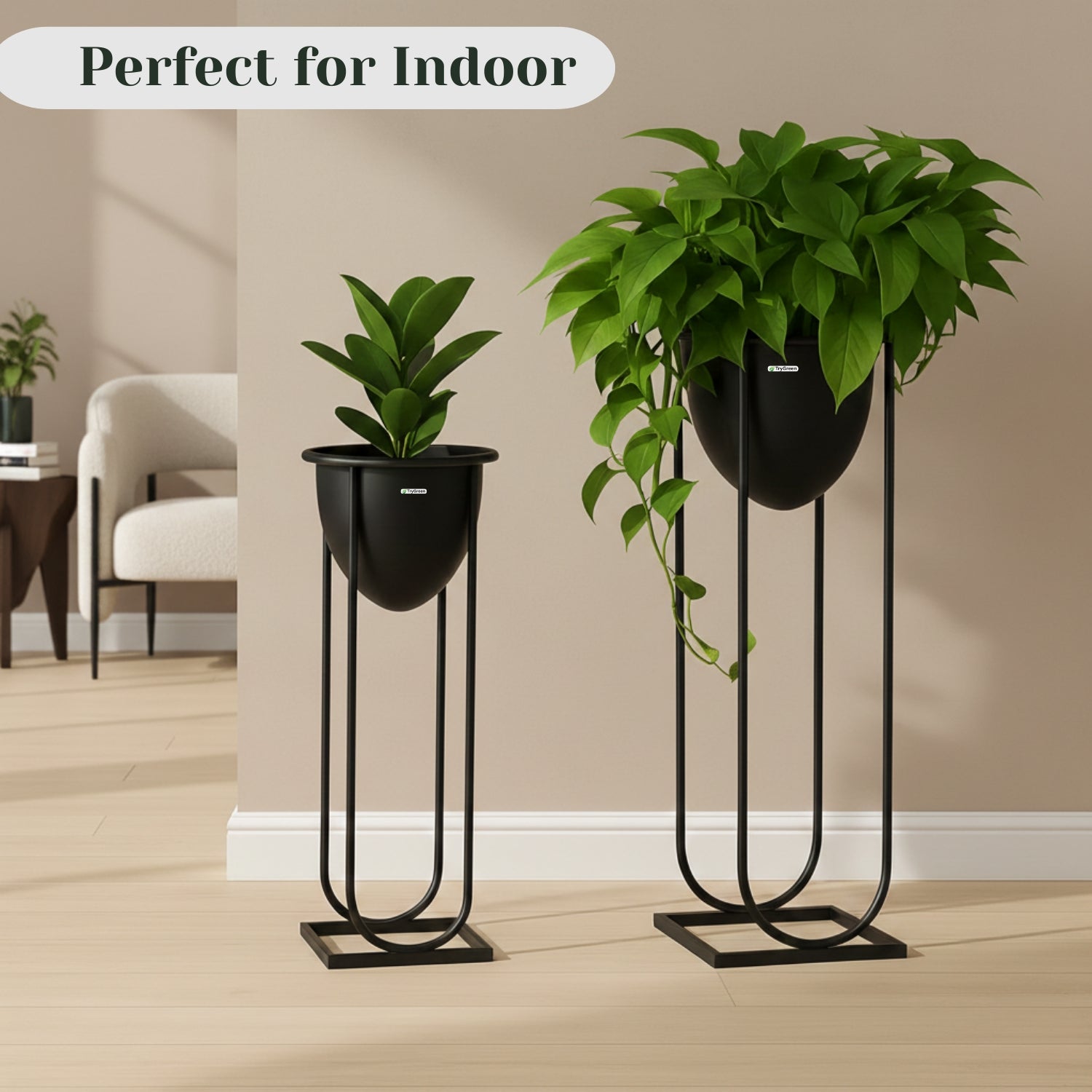TryGreen- Flora Stylish Pots with Stands for Elegant Spaces(Black)