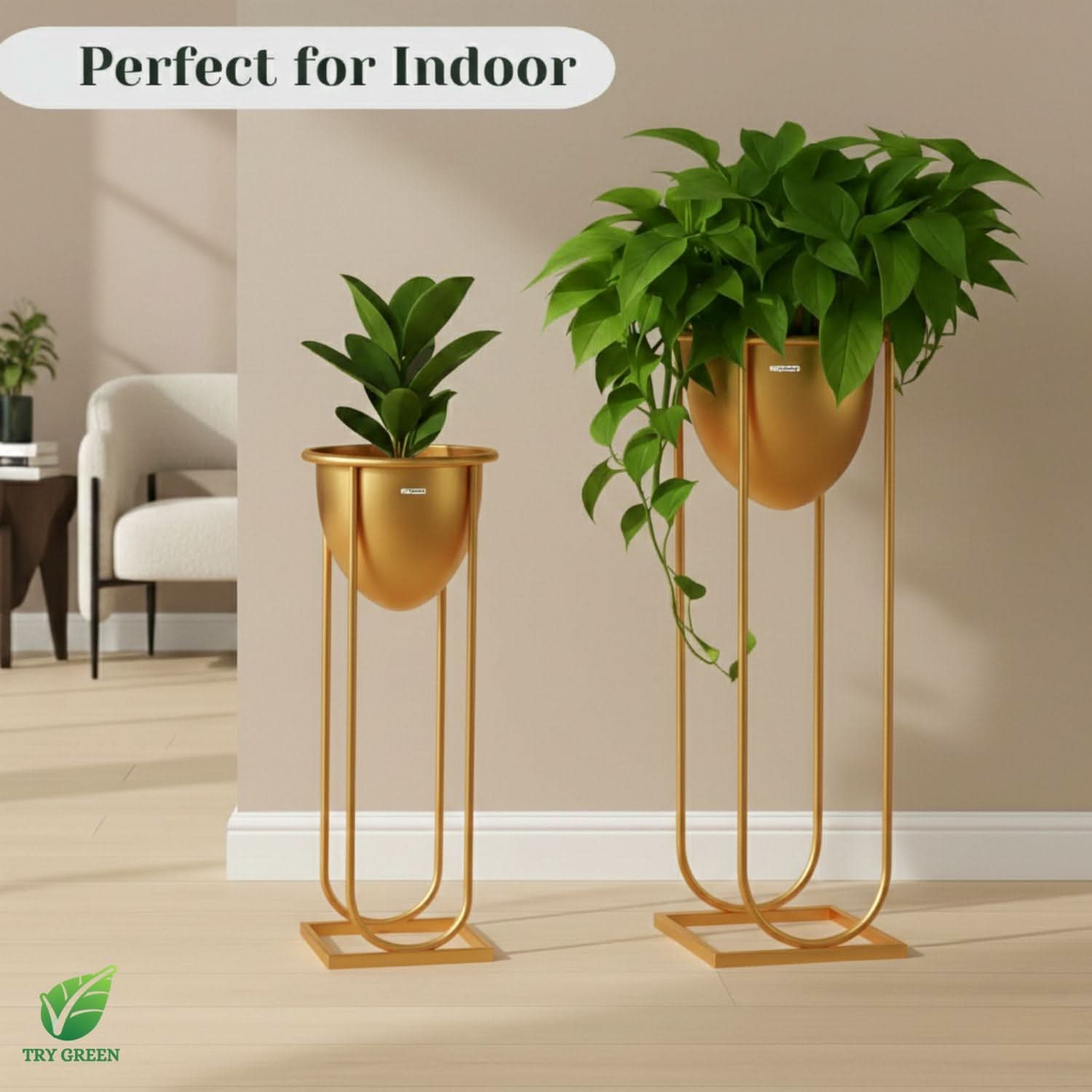 TryGreen- Flora Stylish Pots with Stands for Elegant Spaces(Gold)