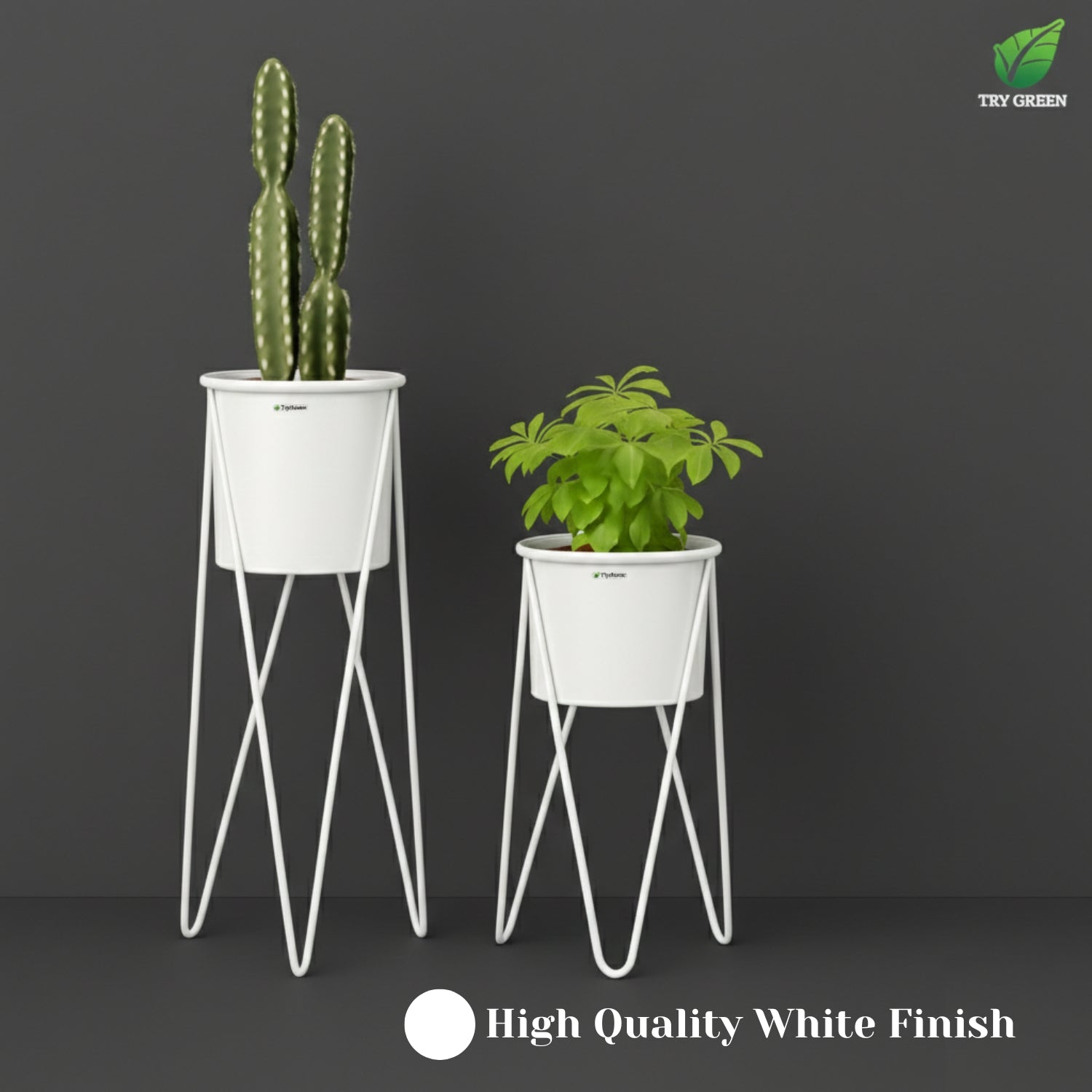 TryGreen- Strin Stylish Pots with Stands for Elegant Spaces(White)