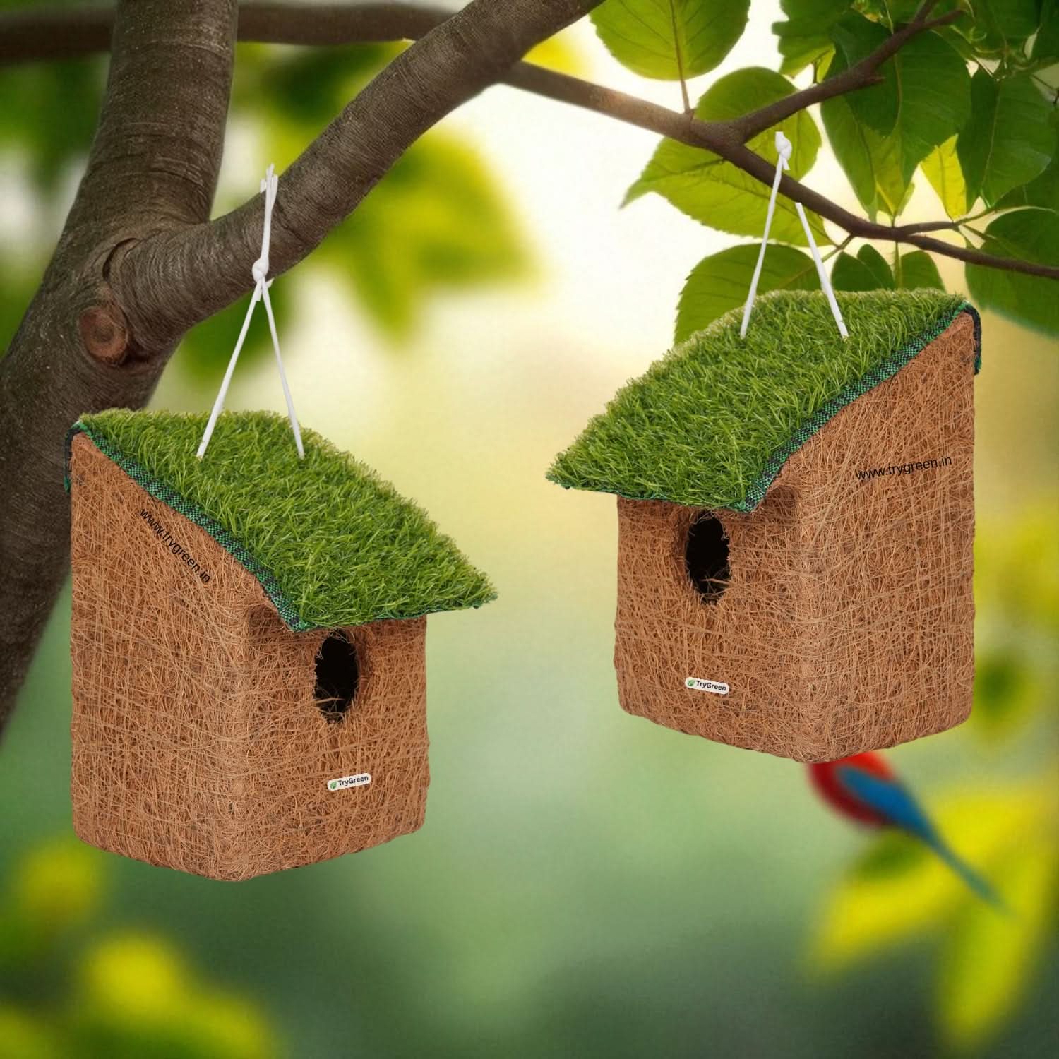 TryGreen- Kruv Bird House Eco-Friendly