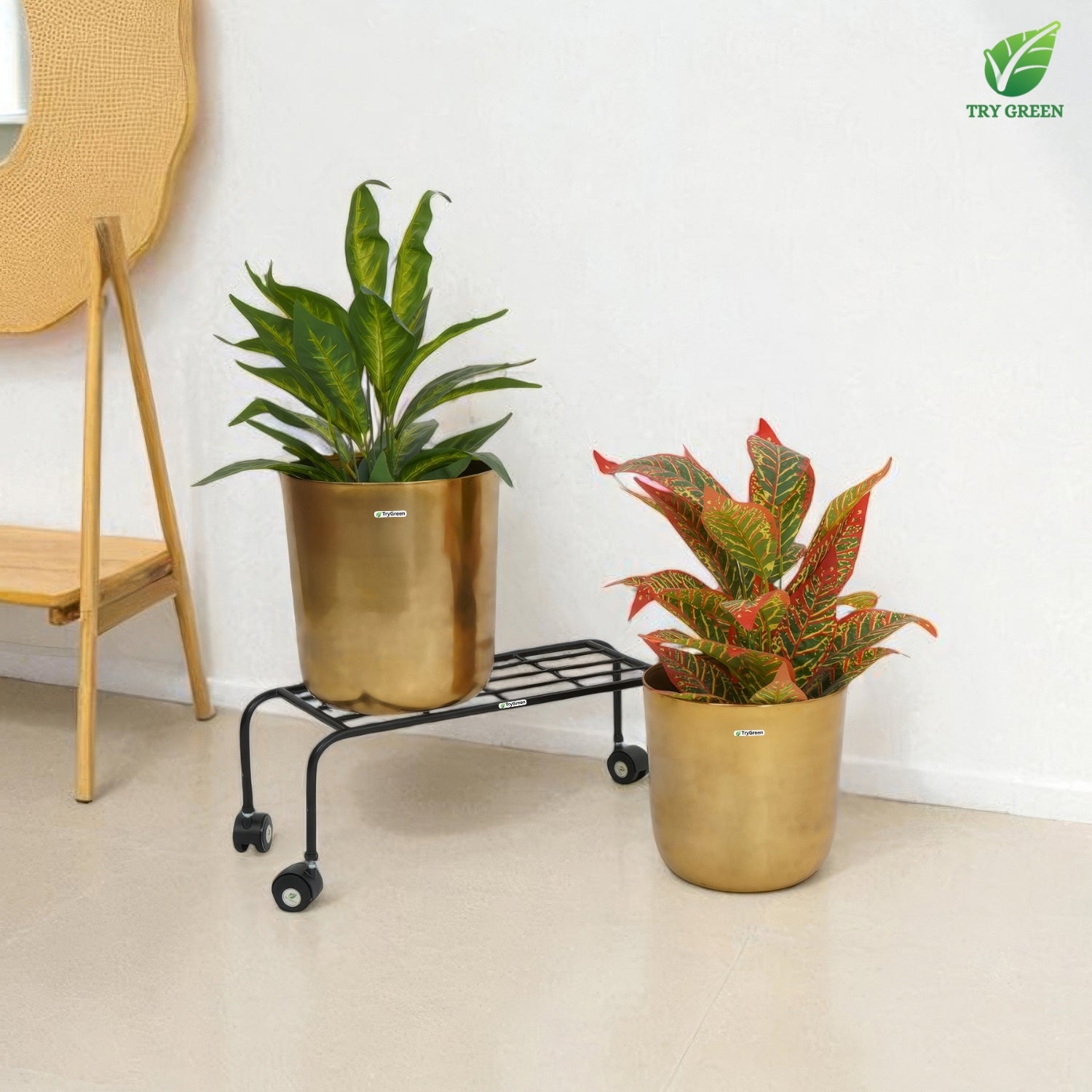 TryGreen Plux Wheel Rolling Plant Stand for Planters