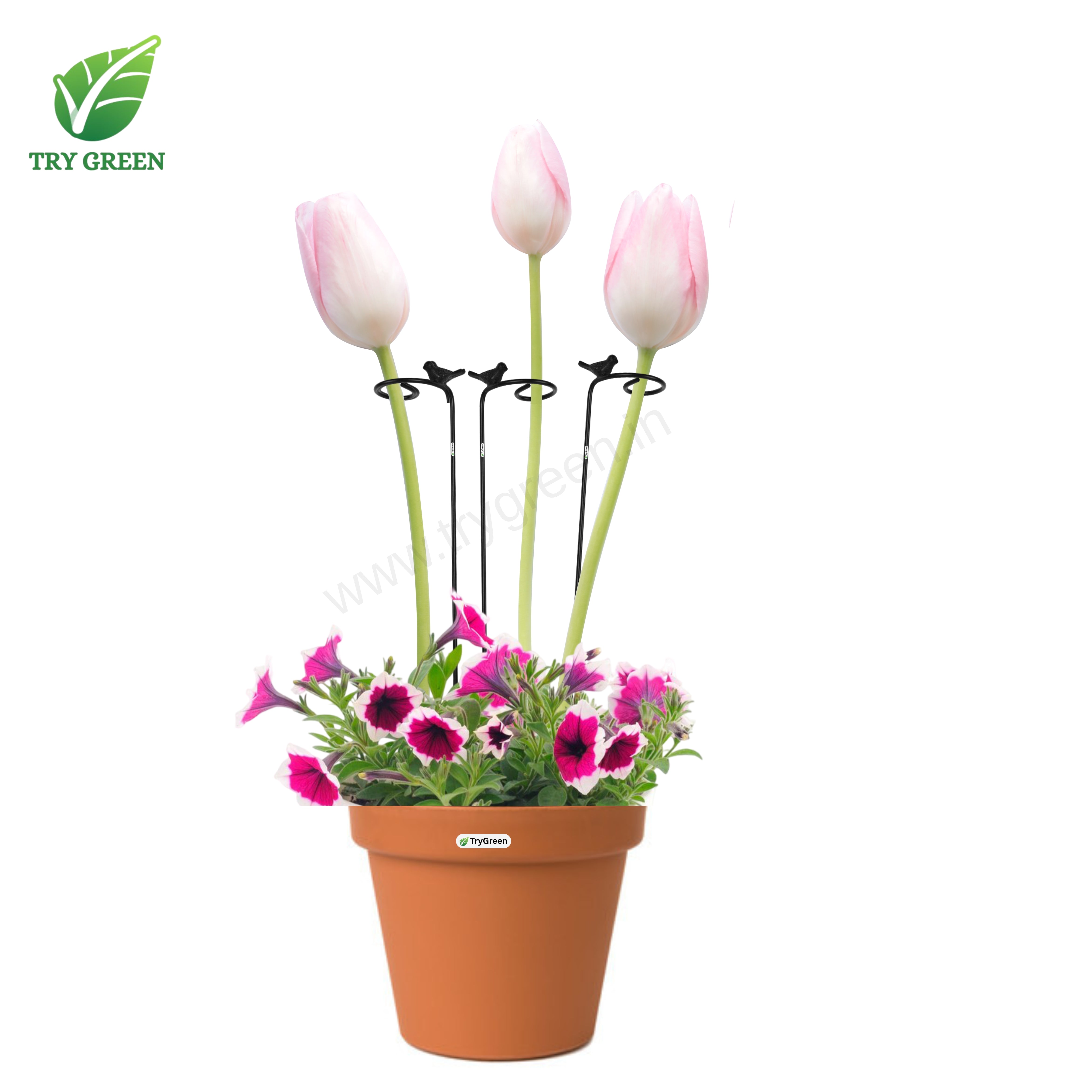 TryGreen- Single Strong Support Stakes for Garden