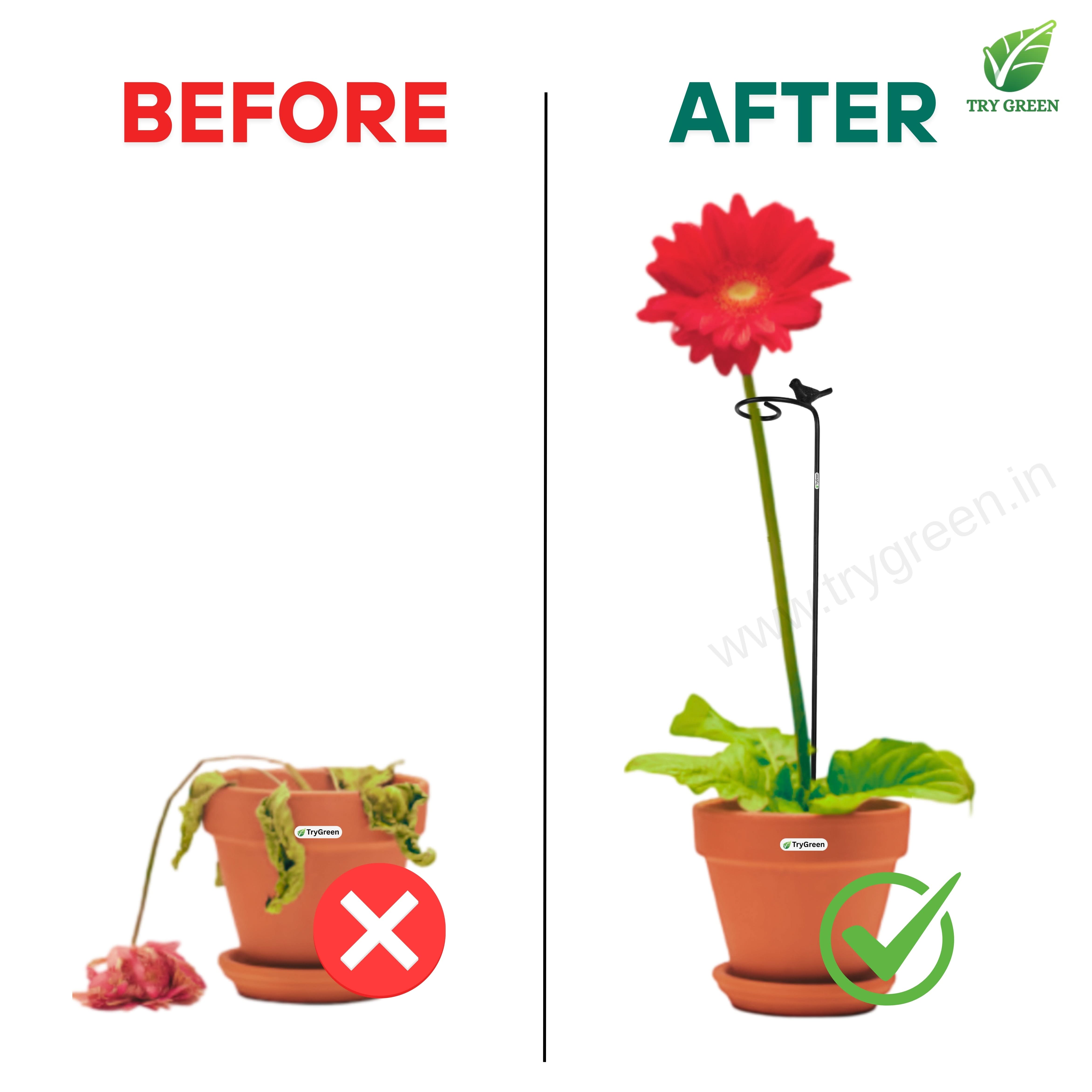 TryGreen- Single Strong Support Stakes for Garden