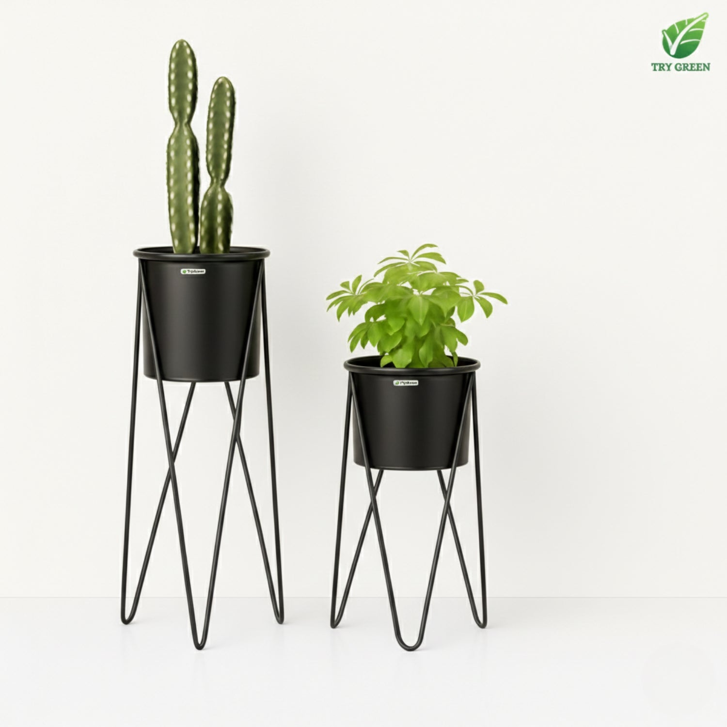 TryGreen- Strin Stylish Pots with Stands for Elegant Spaces(Black)