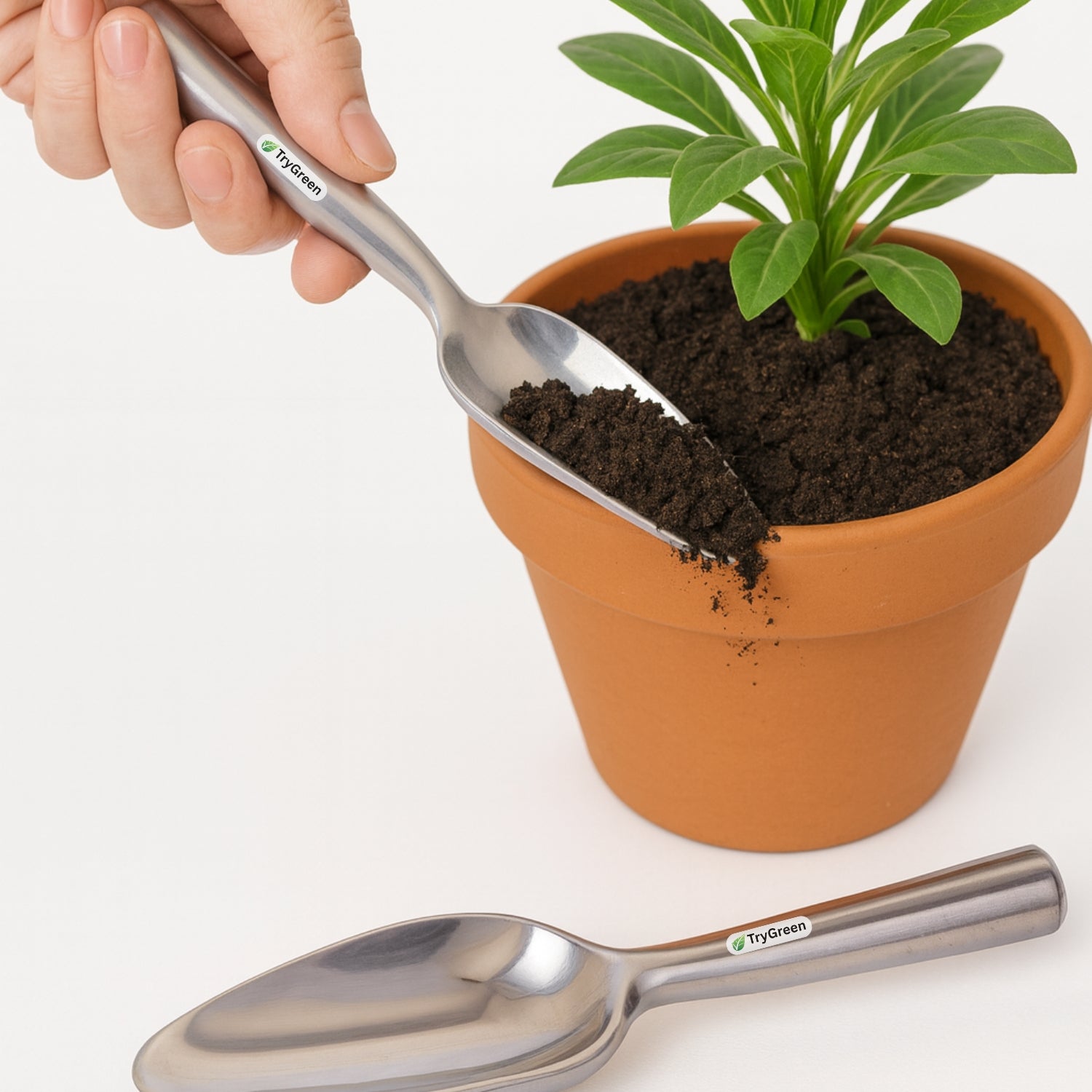 TryGreen Alum Tool Kit for Plants in Wooden Box