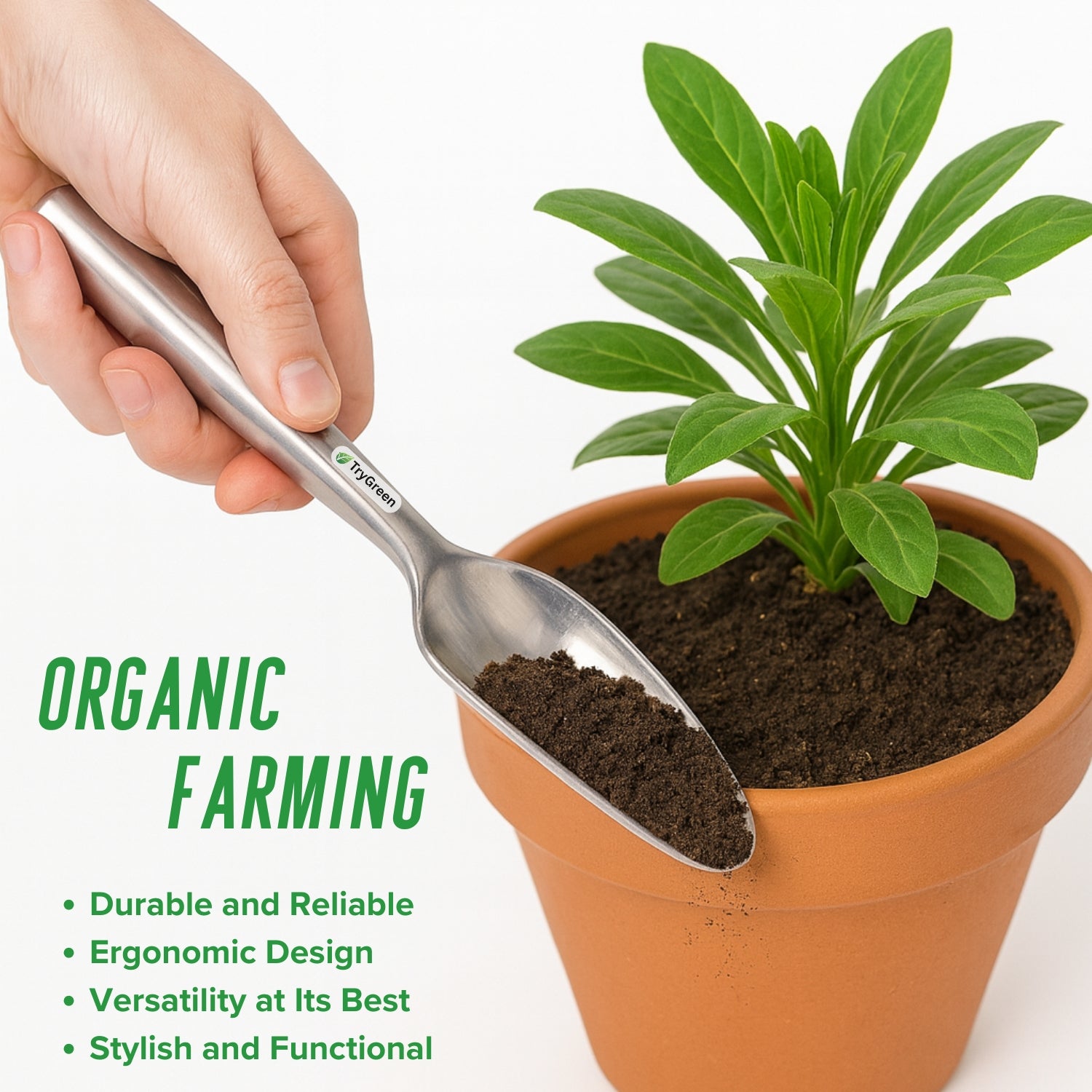 TryGreen Alum Tool Kit for Plants in Wooden Box