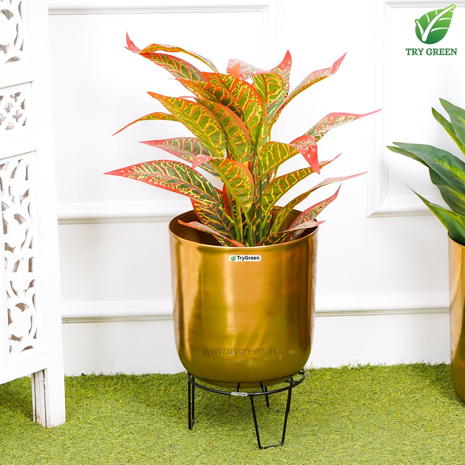 TryGreen Orgy Pot Stands for Home and Garden Decor