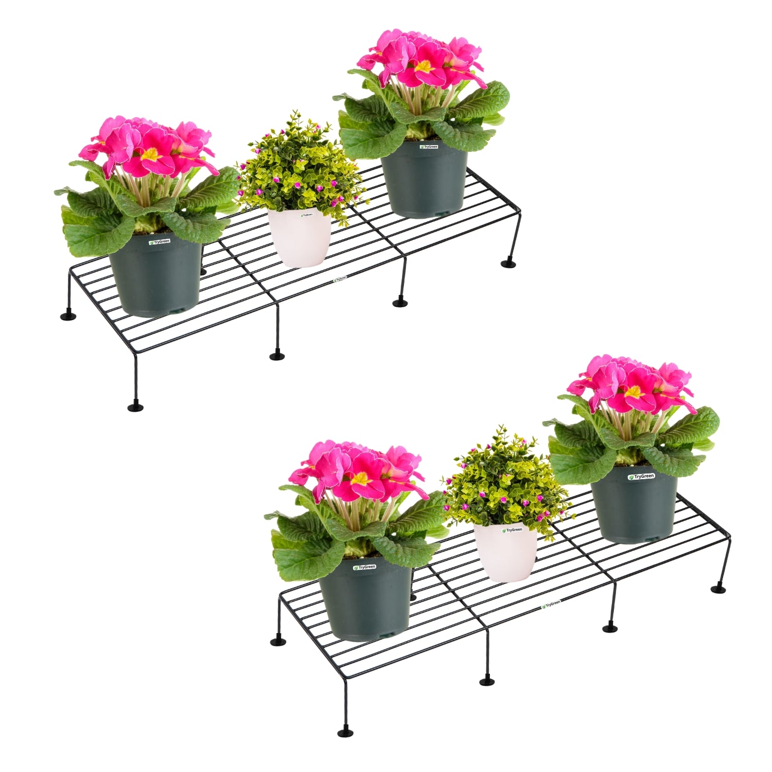 TryGreen Bine Pot Stands for Home and Garden Decor