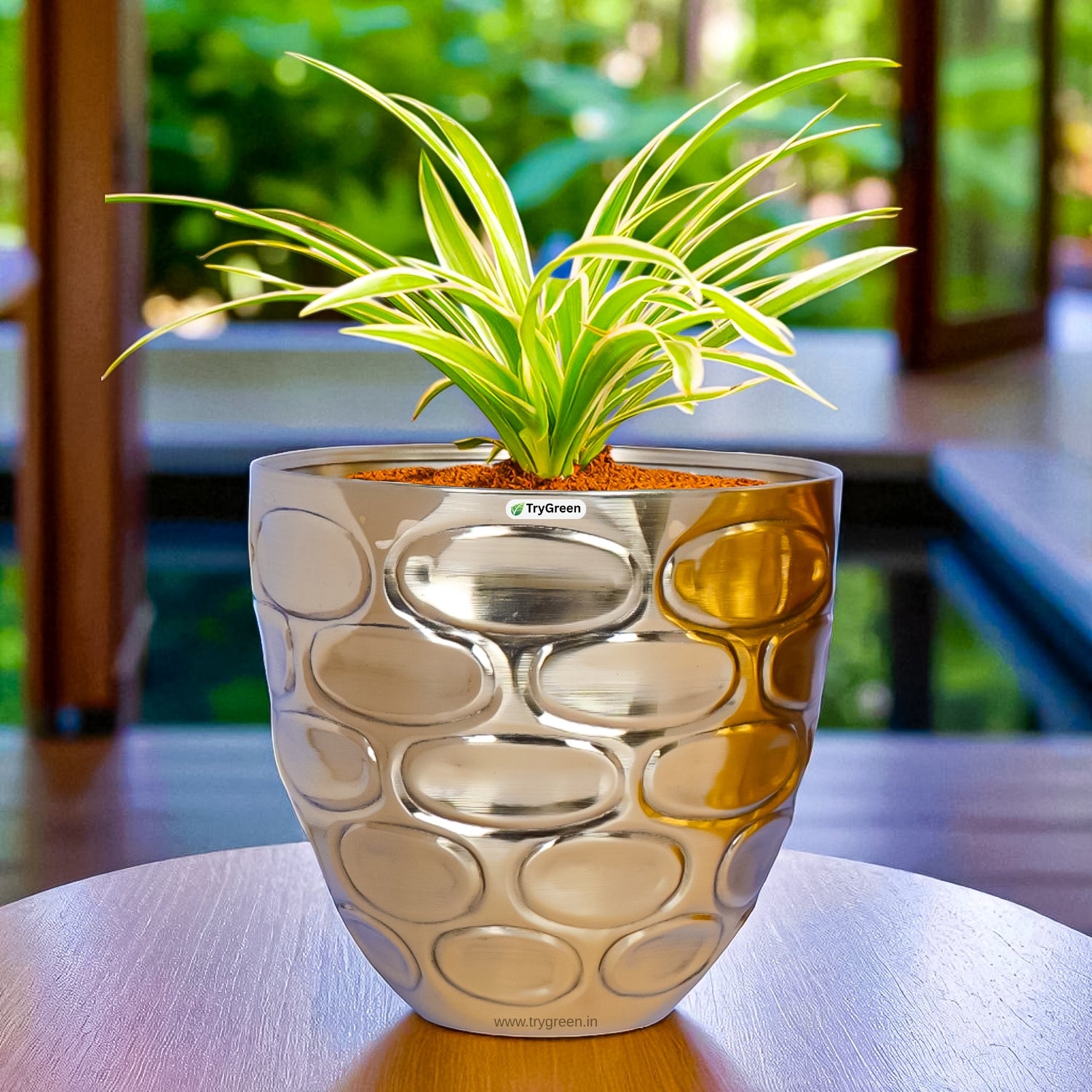 TryGreen Versa Metal Planters (Set of 3)