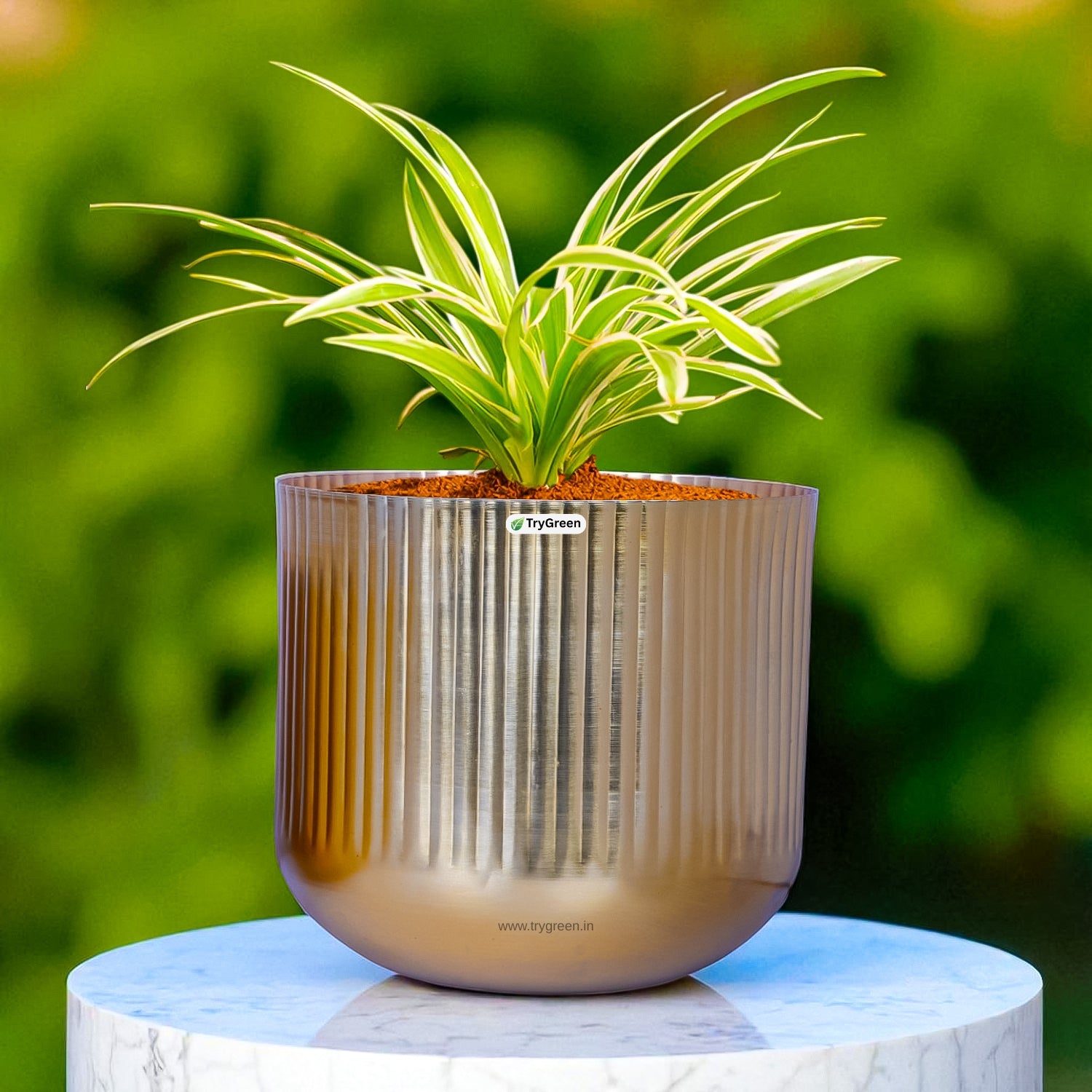TryGreen String Metal Planters (Set of 3)