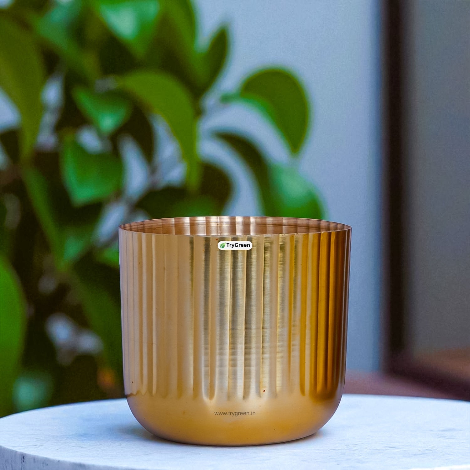 TryGreen String Metal Planters (Set of 3)