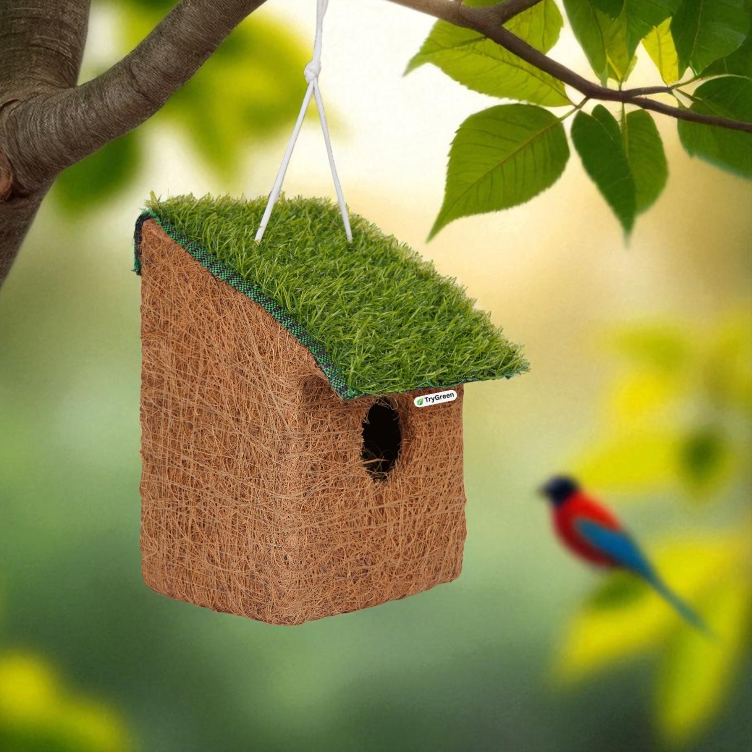 TryGreen- Double Bird House Eco-Friendly