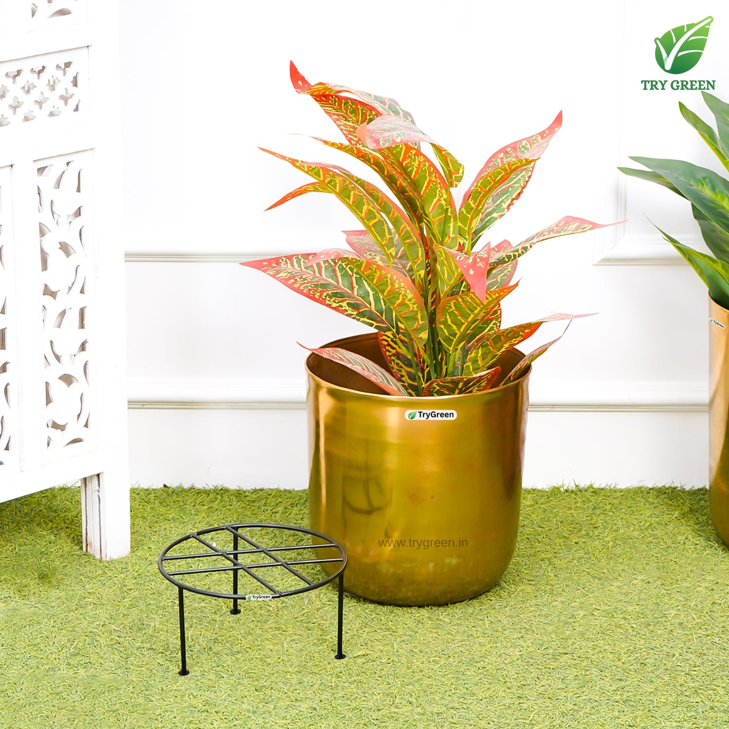 TryGreen Nira Pot Stands for Home and Garden Decor