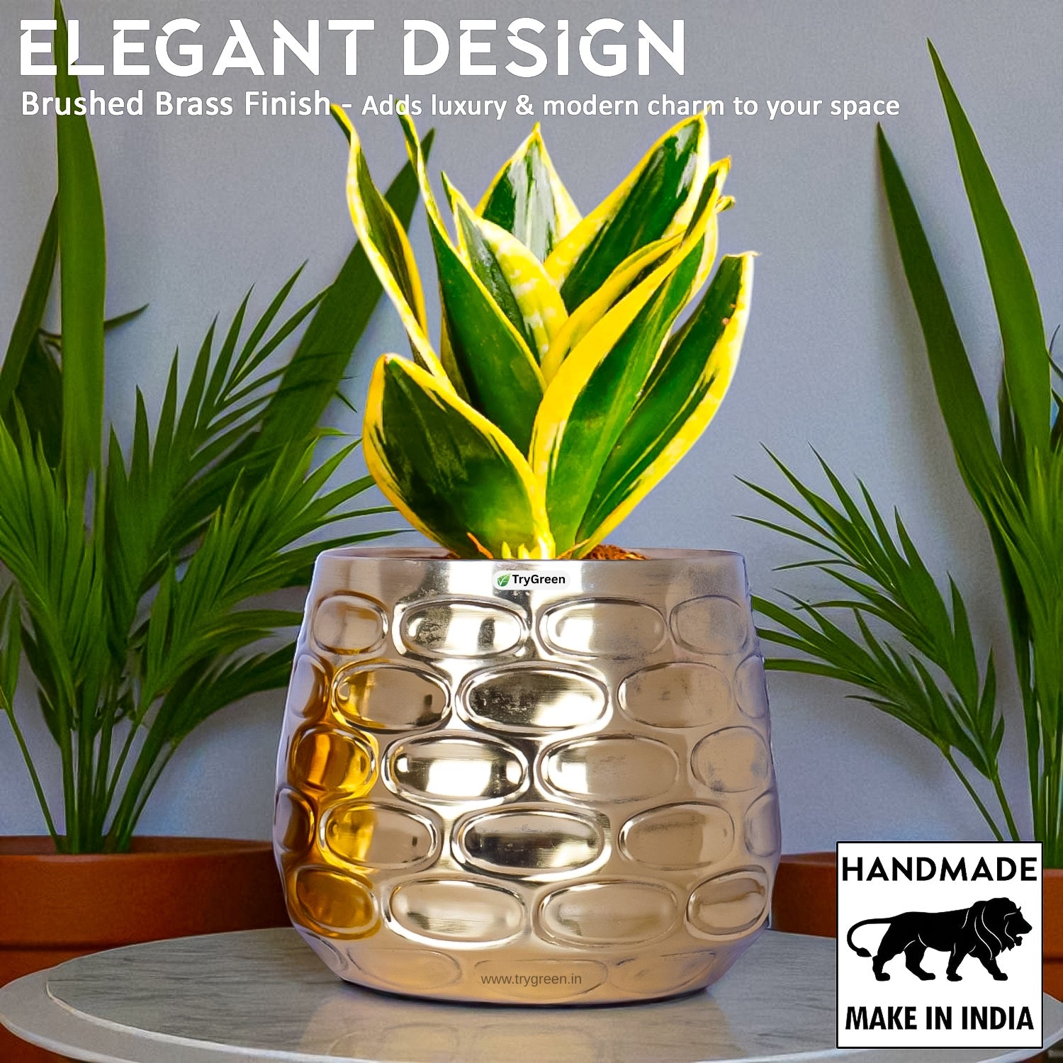 TryGreen Tria Metal Planters (Set of 3)