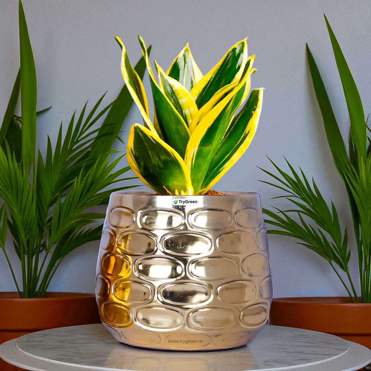 TryGreen Tria Metal Planters (Set of 3)