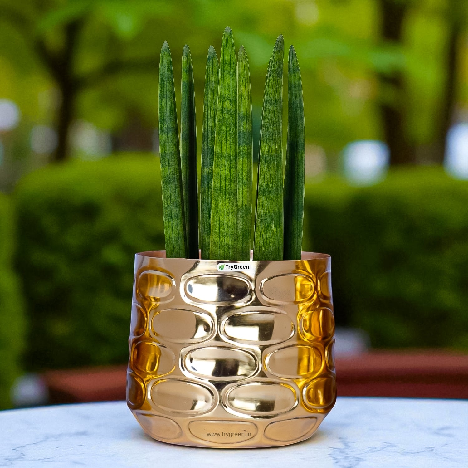 TryGreen Tria Metal Planters (Set of 3)