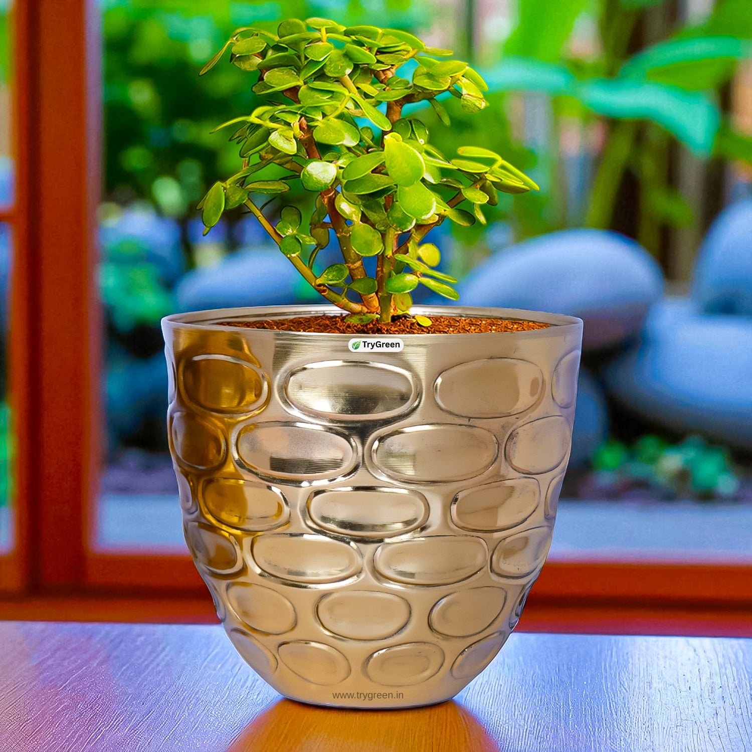 TryGreen Versa Metal Planters (Set of 3)