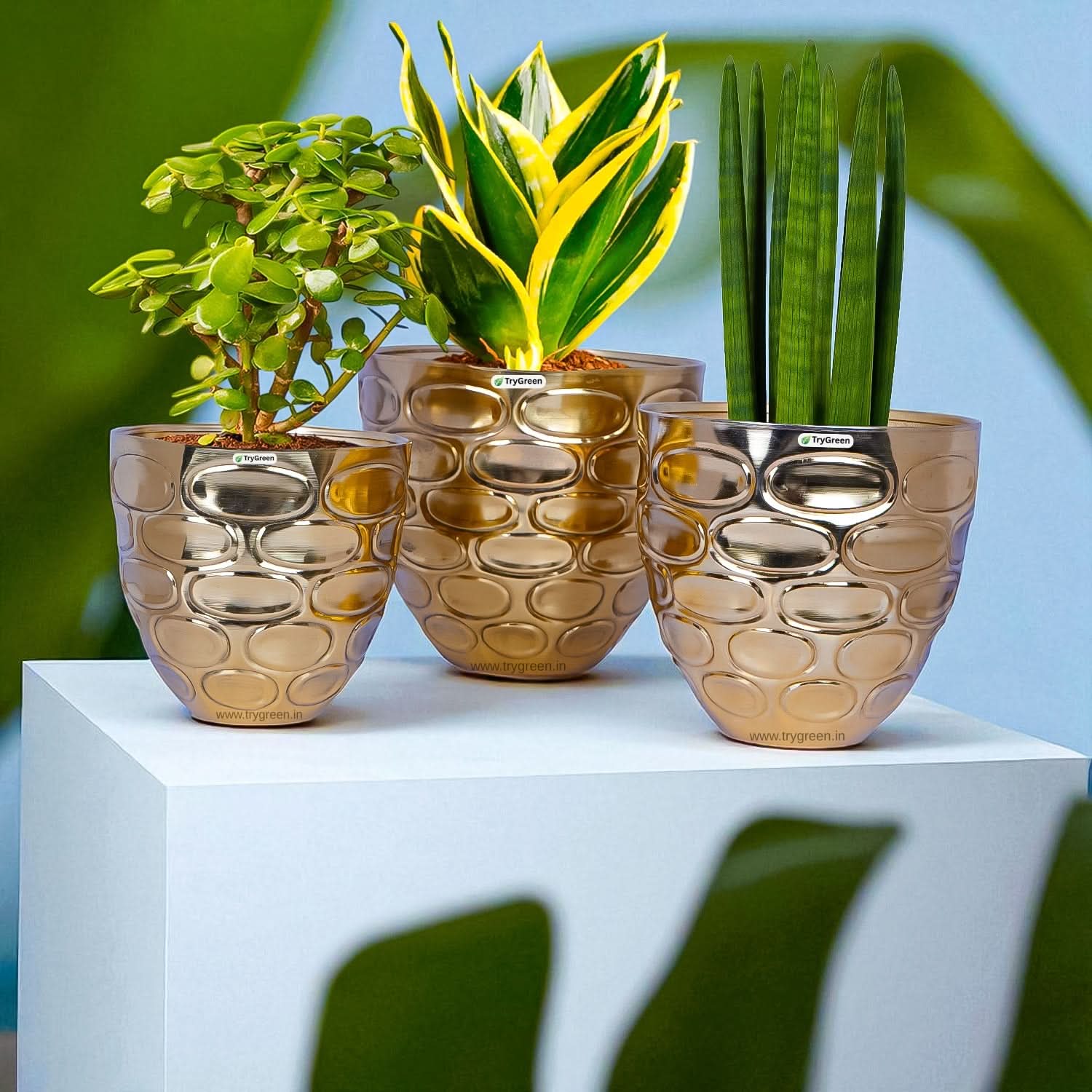 TryGreen Versa Metal Planters (Set of 3)
