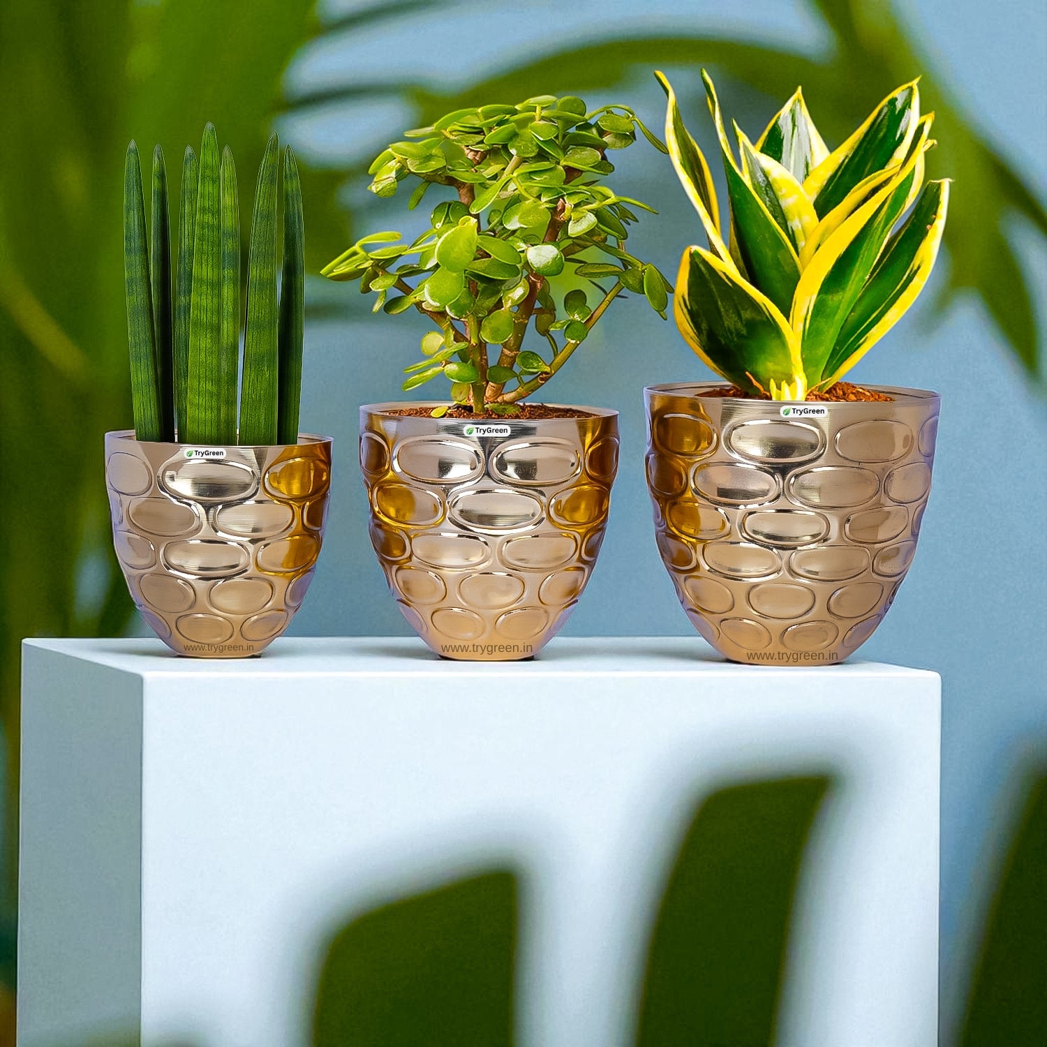 TryGreen Versa Metal Planters (Set of 3)