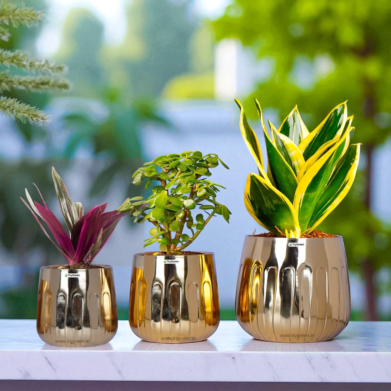TryGreen Asta Metal Planters (Set of 3)